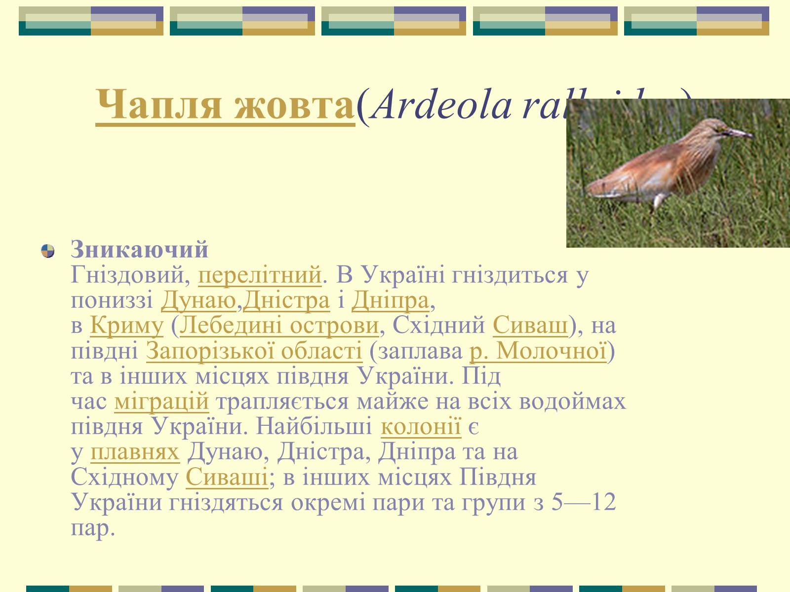 Презентація на тему «Червона книга України» (варіант 11) - Слайд #8 Презентація на тему «Червона книга України» (варіант 11) - Слайд #8