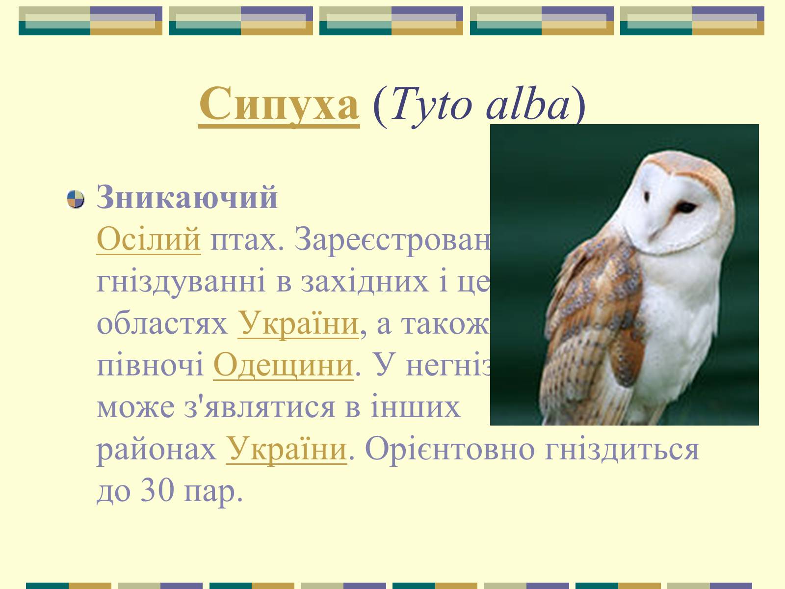 Презентація на тему «Червона книга України» (варіант 11) - Слайд #83 Презентація на тему «Червона книга України» (варіант 11) - Слайд #83
