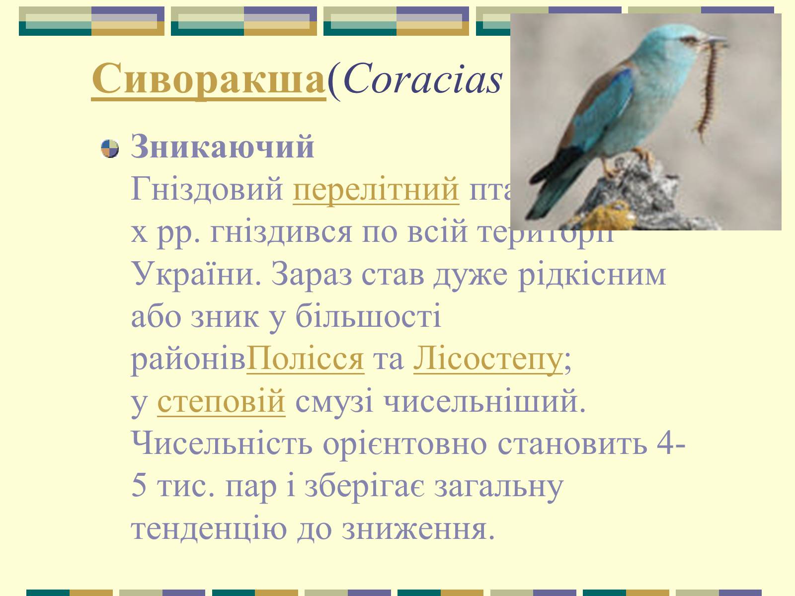 Презентація на тему «Червона книга України» (варіант 11) - Слайд #85 Презентація на тему «Червона книга України» (варіант 11) - Слайд #85