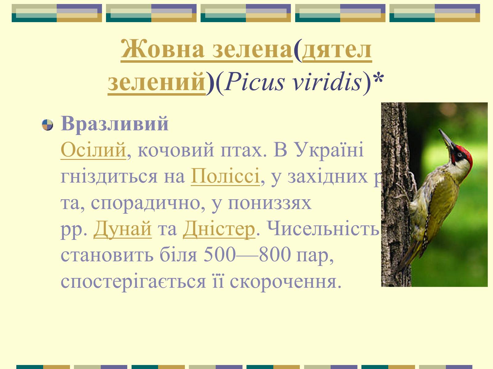 Презентація на тему «Червона книга України» (варіант 11) - Слайд #87 Презентація на тему «Червона книга України» (варіант 11) - Слайд #87