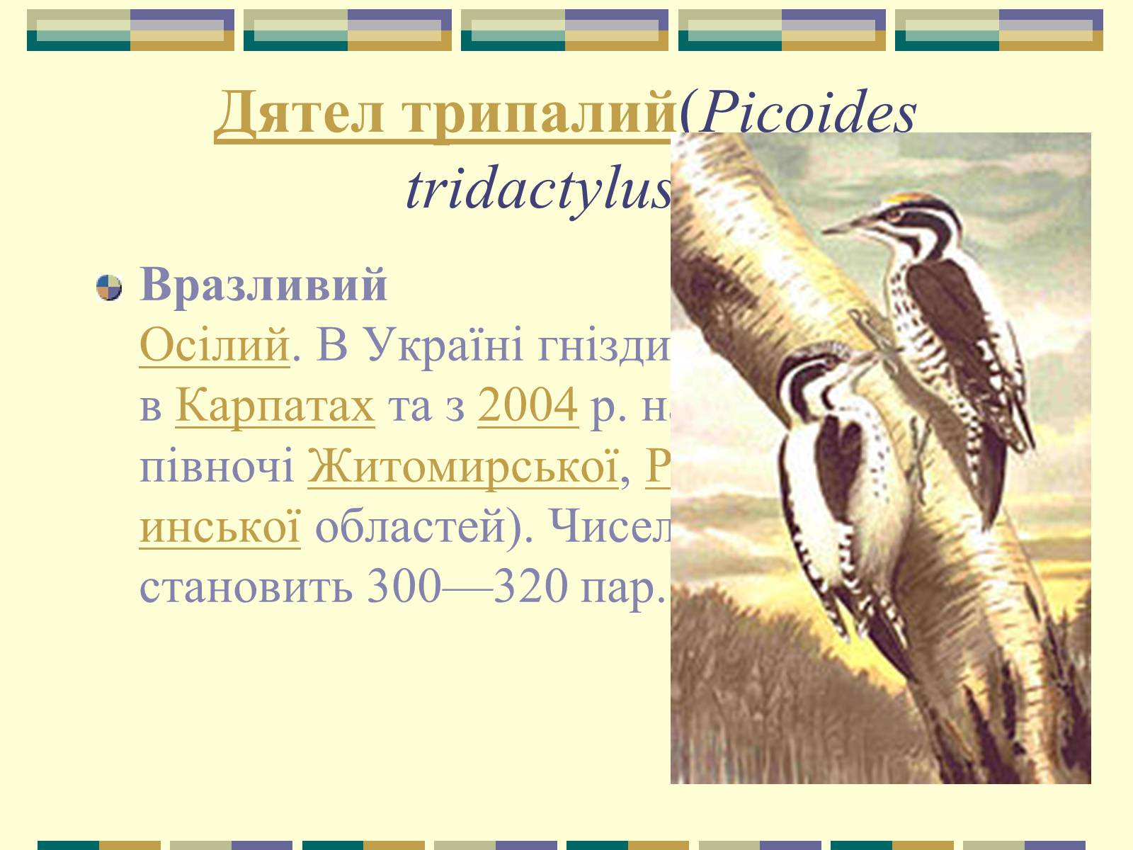 Презентація на тему «Червона книга України» (варіант 11) - Слайд #89 Презентація на тему «Червона книга України» (варіант 11) - Слайд #89