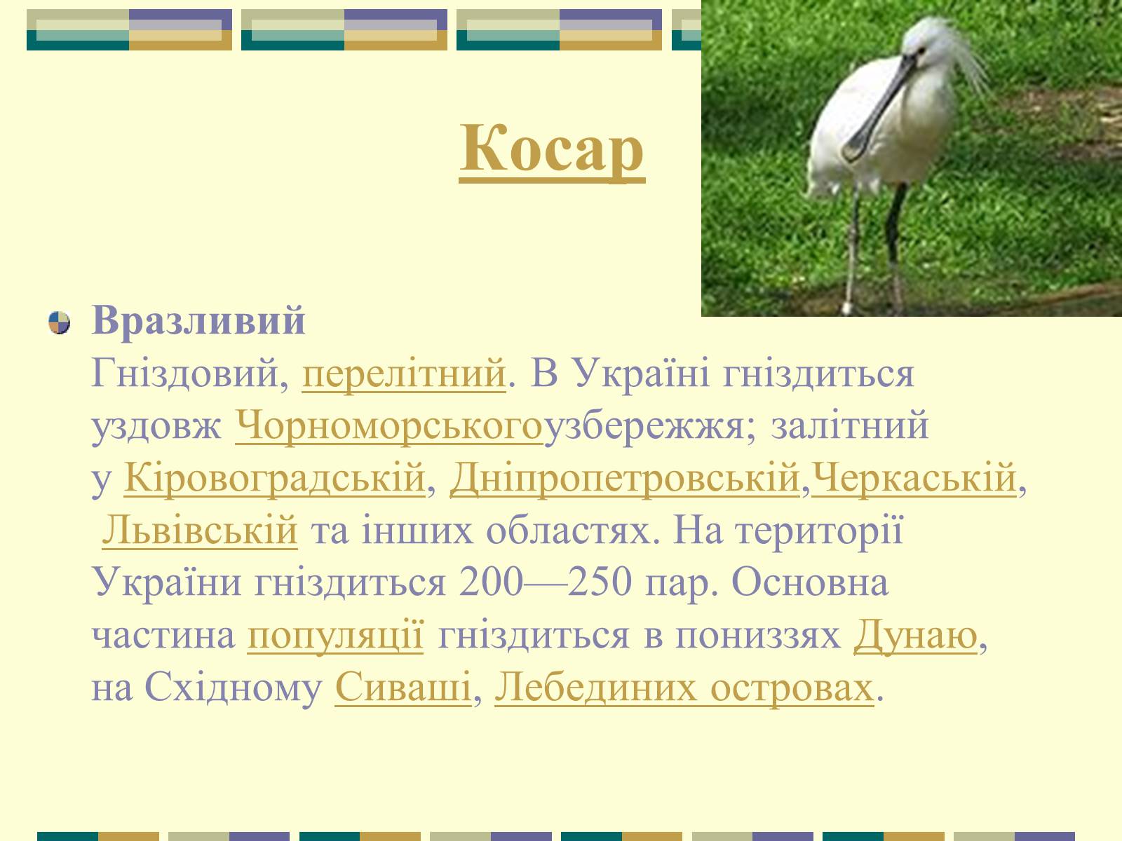 Презентація на тему «Червона книга України» (варіант 11) - Слайд #9 Презентація на тему «Червона книга України» (варіант 11) - Слайд #9