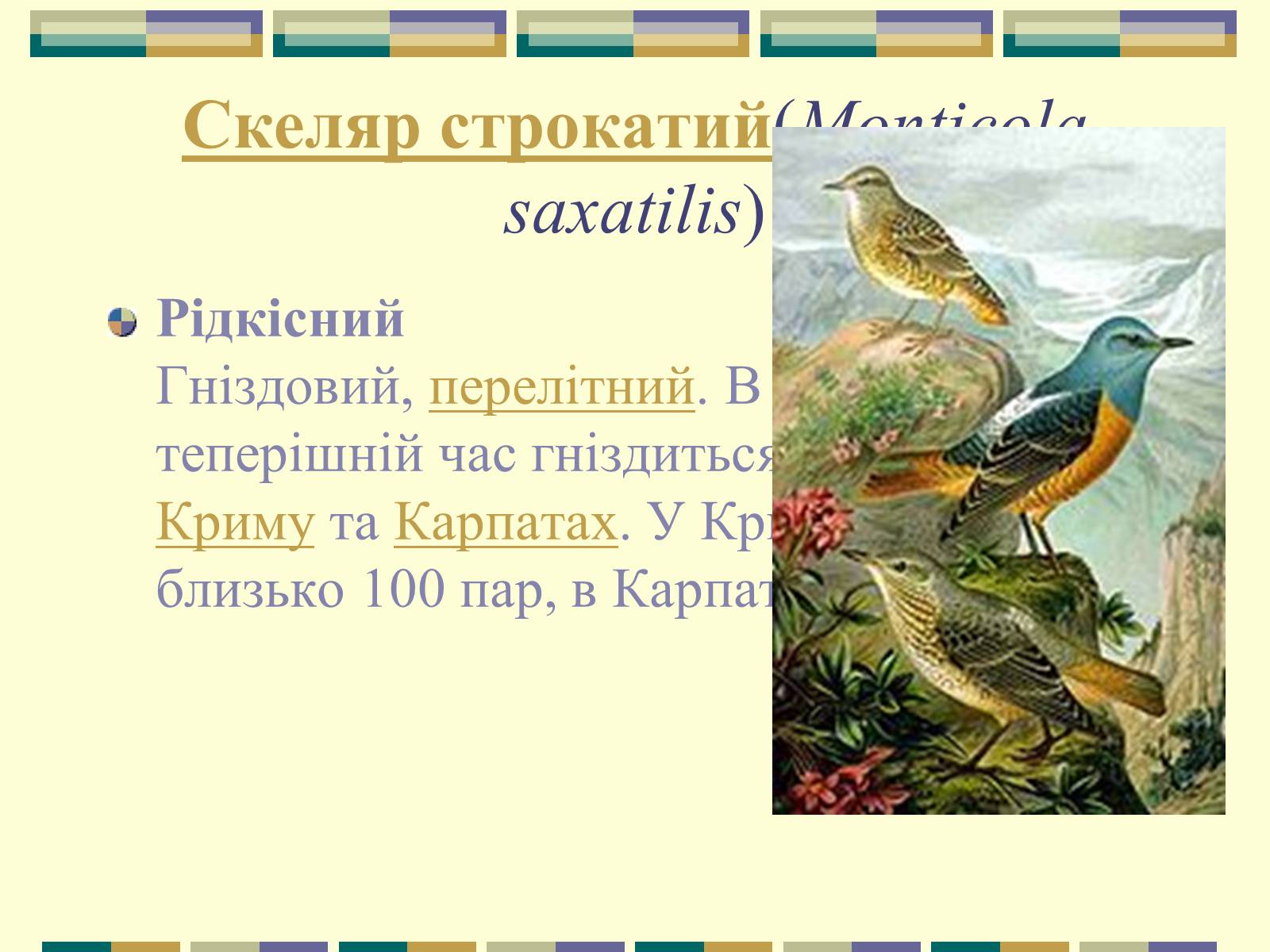 Презентація на тему «Червона книга України» (варіант 11) - Слайд #98 Презентація на тему «Червона книга України» (варіант 11) - Слайд #98