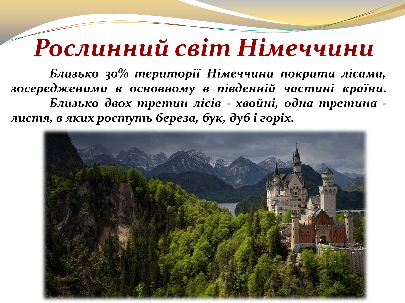 Презентація на тему «Федеративна Республіка Німеччина» (варіант 3) - Слайд #9 Презентація на тему «Федеративна Республіка Німеччина» (варіант 3) - Слайд #9