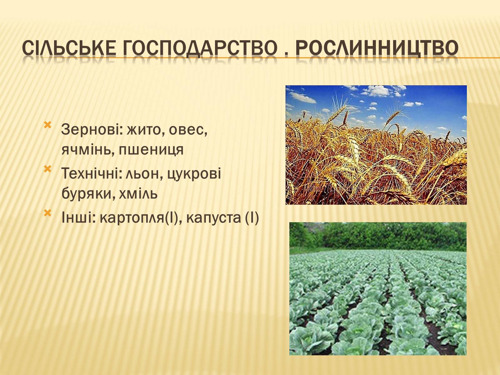 Презентація на тему «Республіка Польща» (варіант 6) - Слайд #23 Презентація на тему «Республіка Польща» (варіант 6) - Слайд #23