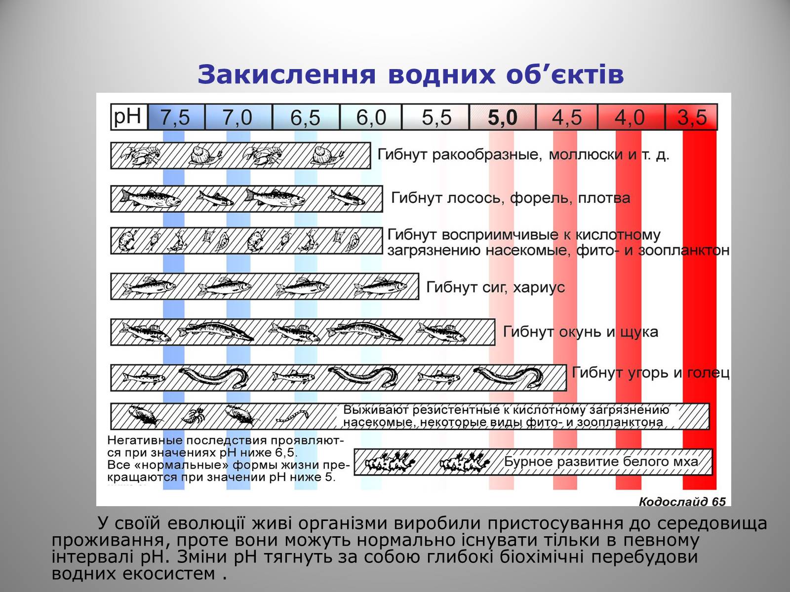Презентація на тему «Кислотні дощі» (варіант 15) - Слайд #14 Презентація на тему «Кислотні дощі» (варіант 15) - Слайд #14