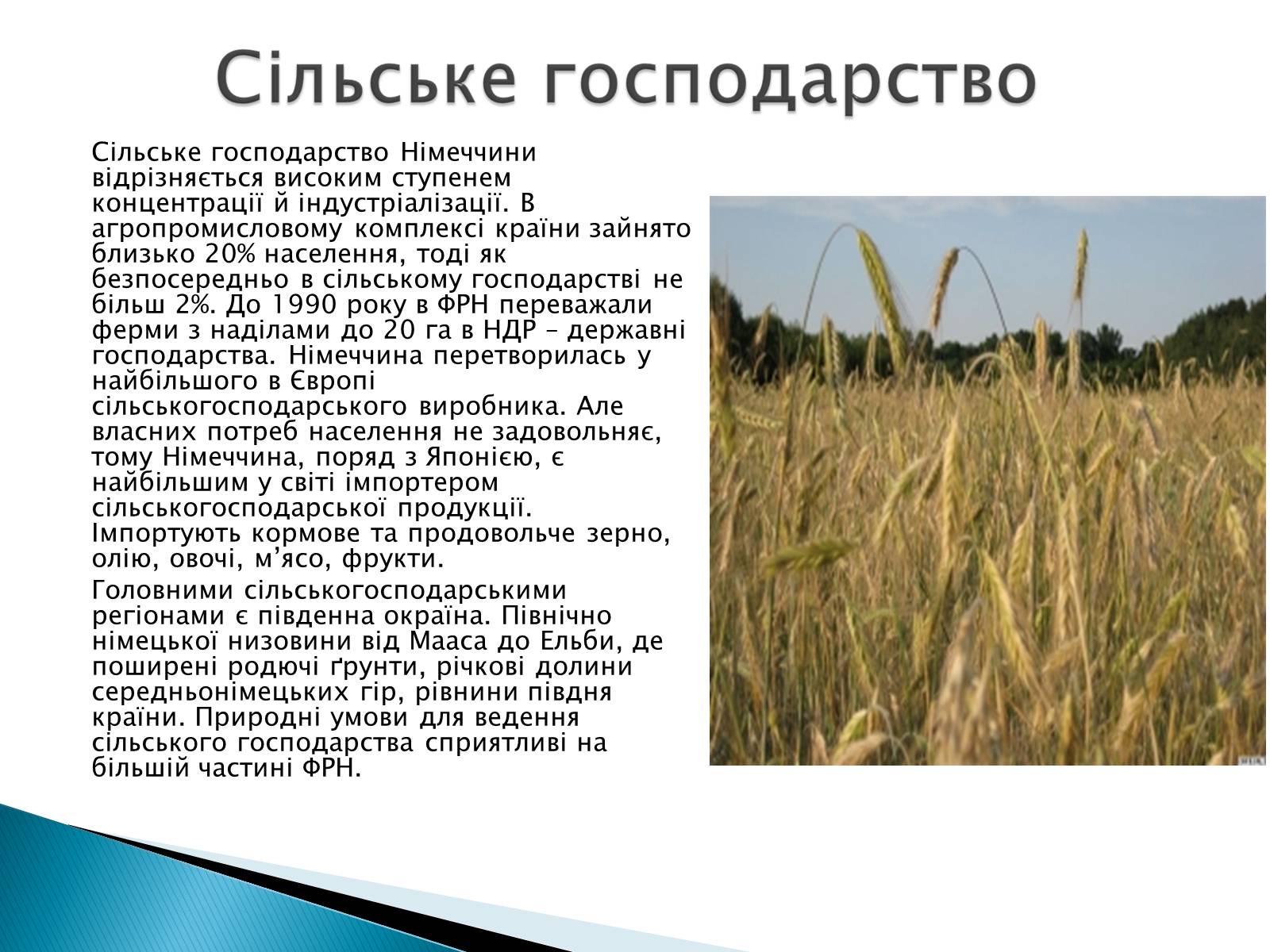 Презентація на тему «Федеративна Республіка Німеччини» - Слайд #10 Презентація на тему «Федеративна Республіка Німеччини» - Слайд #10