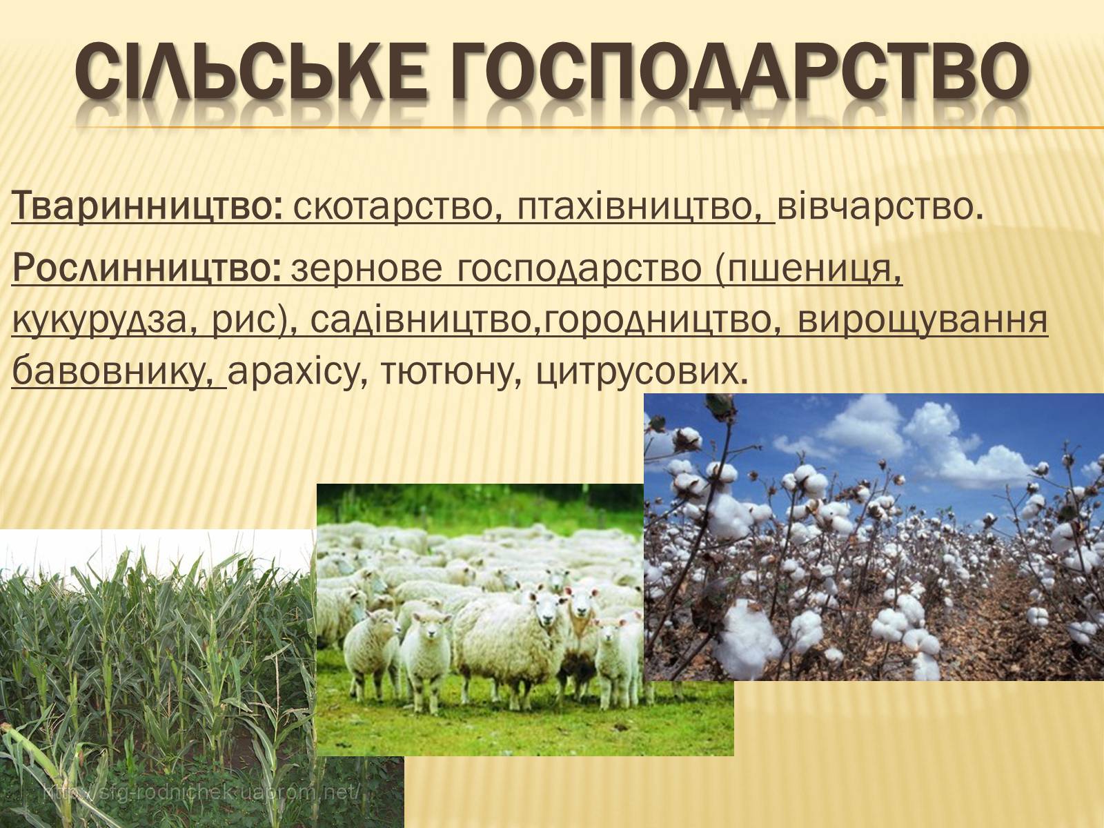 Презентація на тему «Сполучені Штати Америки» (варіант 3) - Слайд #18 Презентація на тему «Сполучені Штати Америки» (варіант 3) - Слайд #18