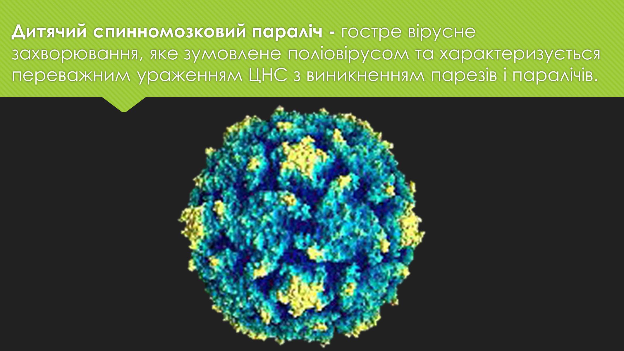 Презентація на тему «Поліомієліт» (варіант 1) - Слайд #2 Презентація на тему «Поліомієліт» (варіант 1) - Слайд #2