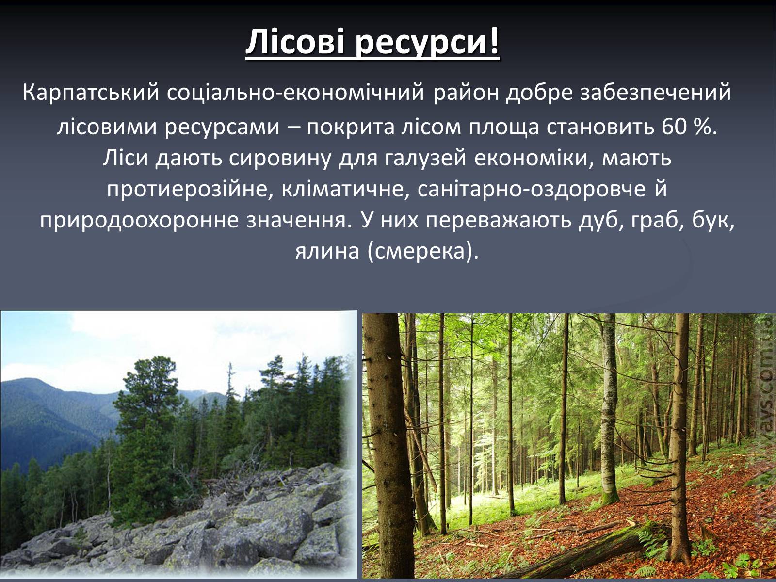 Презентація на тему «Карпатський економічний район» (варіант 5) - Слайд #11 Презентація на тему «Карпатський економічний район» (варіант 5) - Слайд #11
