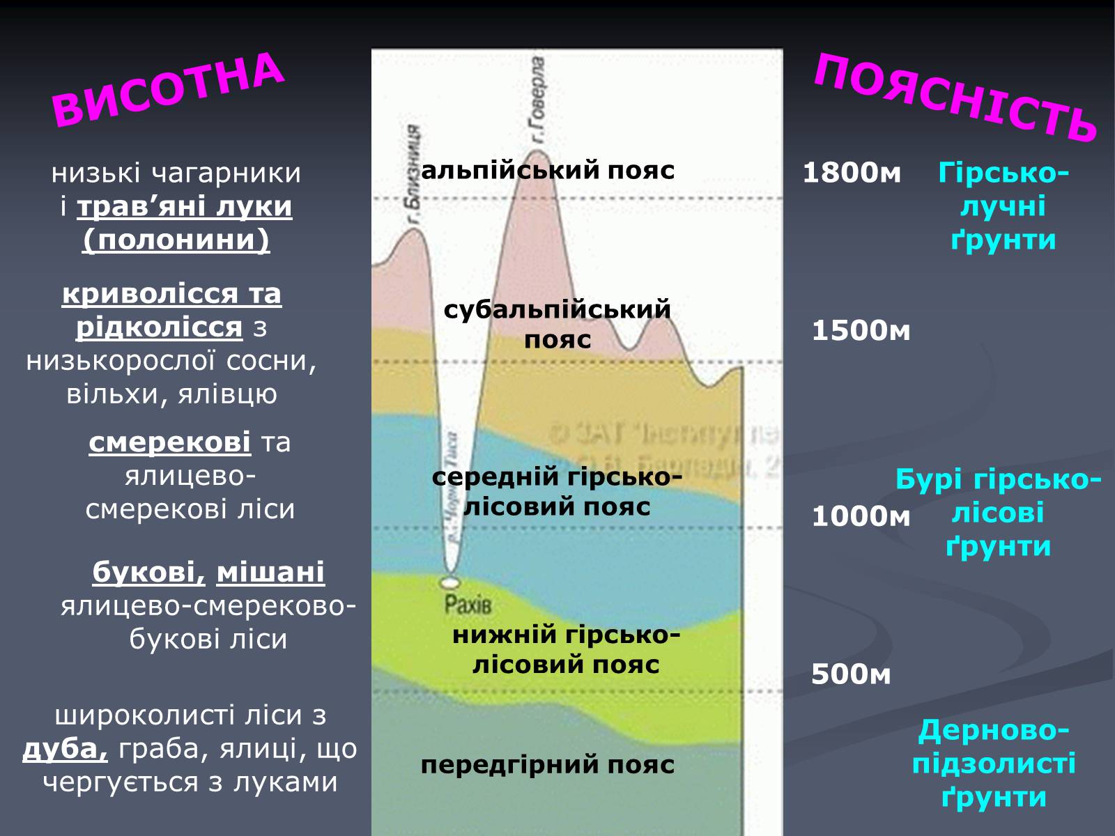 Презентація на тему «Карпатський економічний район» (варіант 5) - Слайд #12 Презентація на тему «Карпатський економічний район» (варіант 5) - Слайд #12