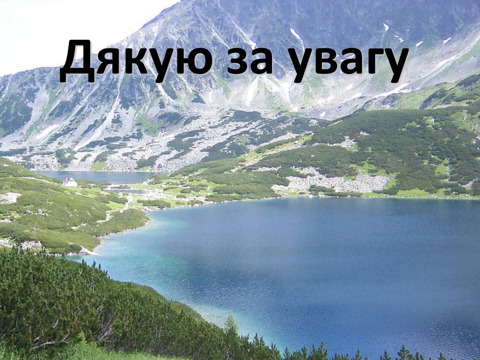 Презентація на тему «Карпатський економічний район» (варіант 5) - Слайд #41 Презентація на тему «Карпатський економічний район» (варіант 5) - Слайд #41