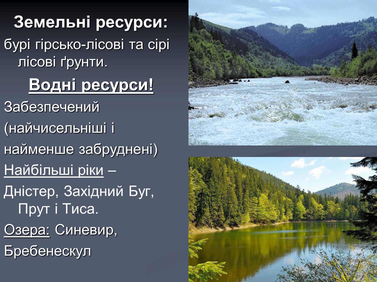 Презентація на тему «Карпатський економічний район» (варіант 5) - Слайд #8 Презентація на тему «Карпатський економічний район» (варіант 5) - Слайд #8