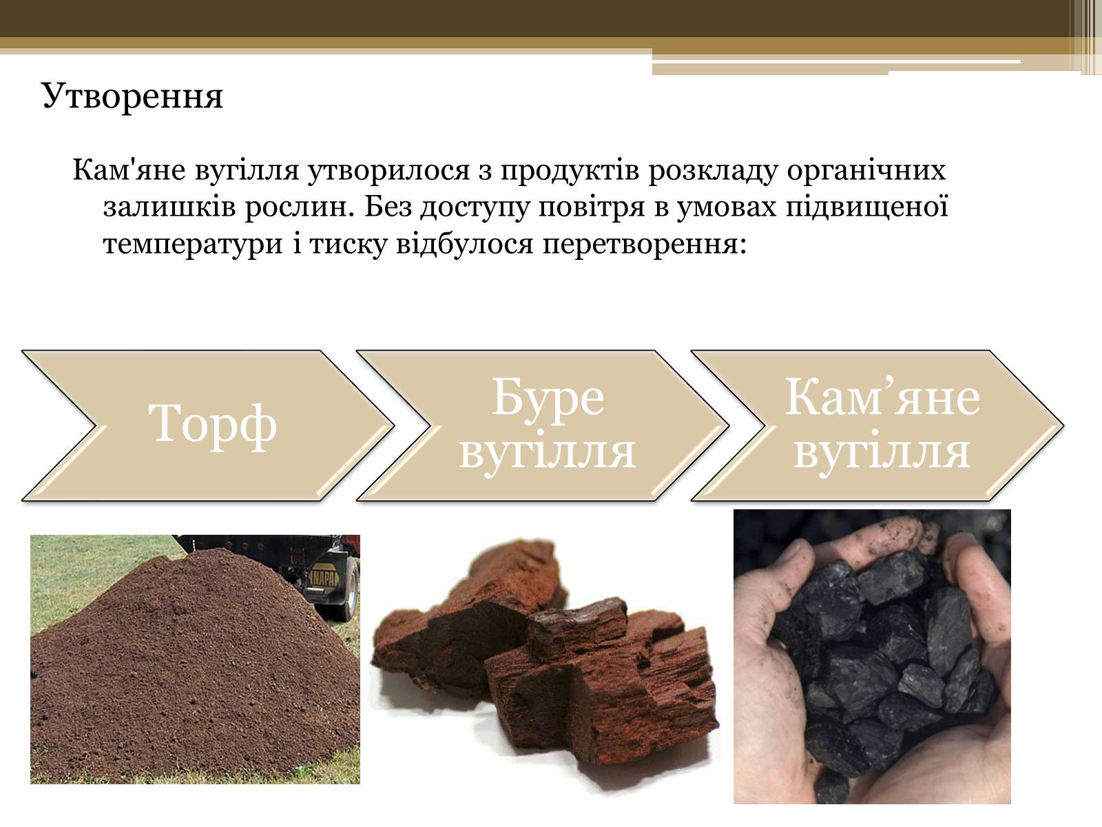 Презентація на тему «Кам*яне вугілля» (варіант 7) - Слайд #5 Презентація на тему «Кам*яне вугілля» (варіант 7) - Слайд #5