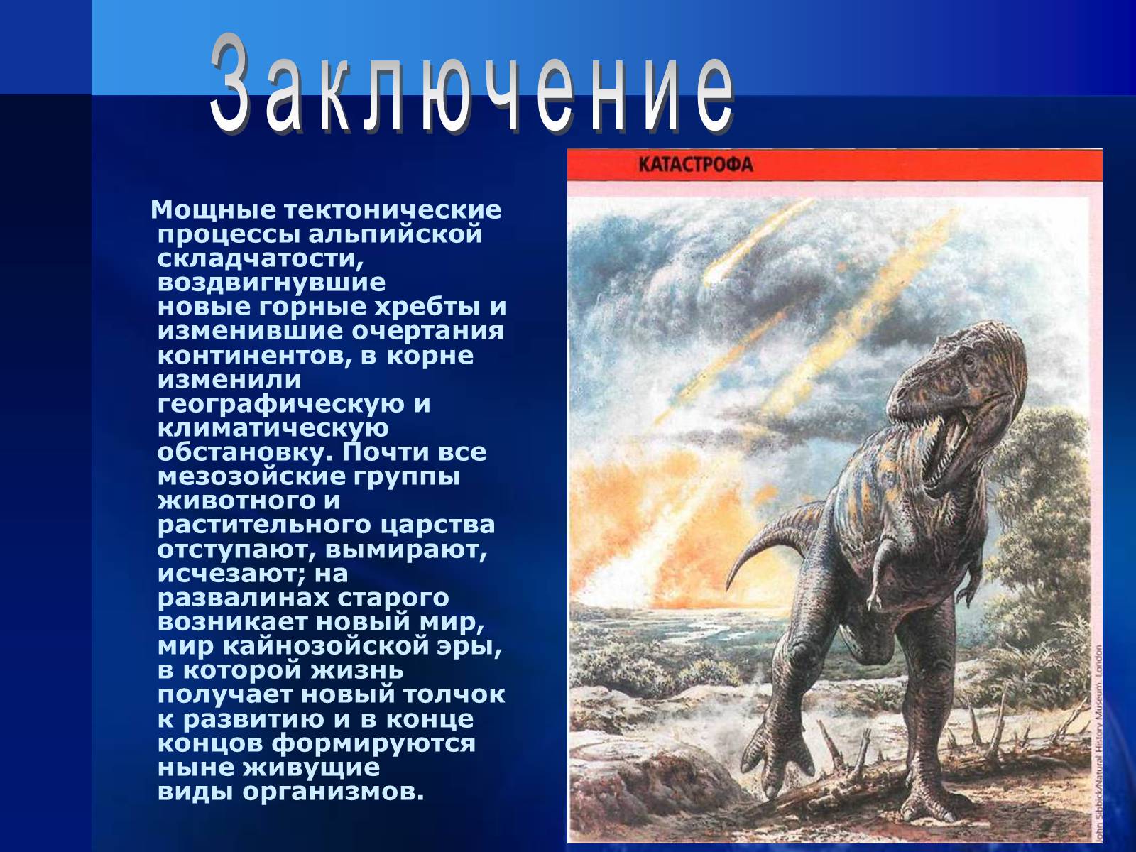 Презентація на тему «Триас» - Слайд #12 Презентація на тему «Триас» - Слайд #12