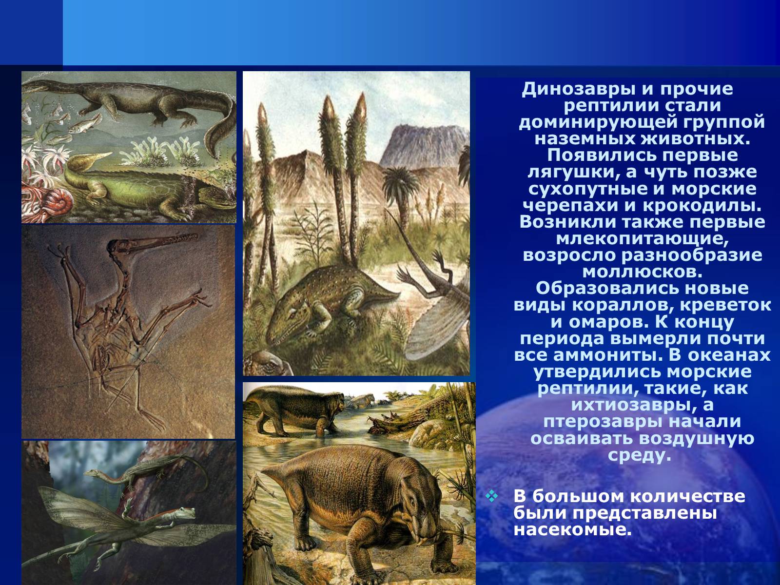 Презентація на тему «Триас» - Слайд #3 Презентація на тему «Триас» - Слайд #3