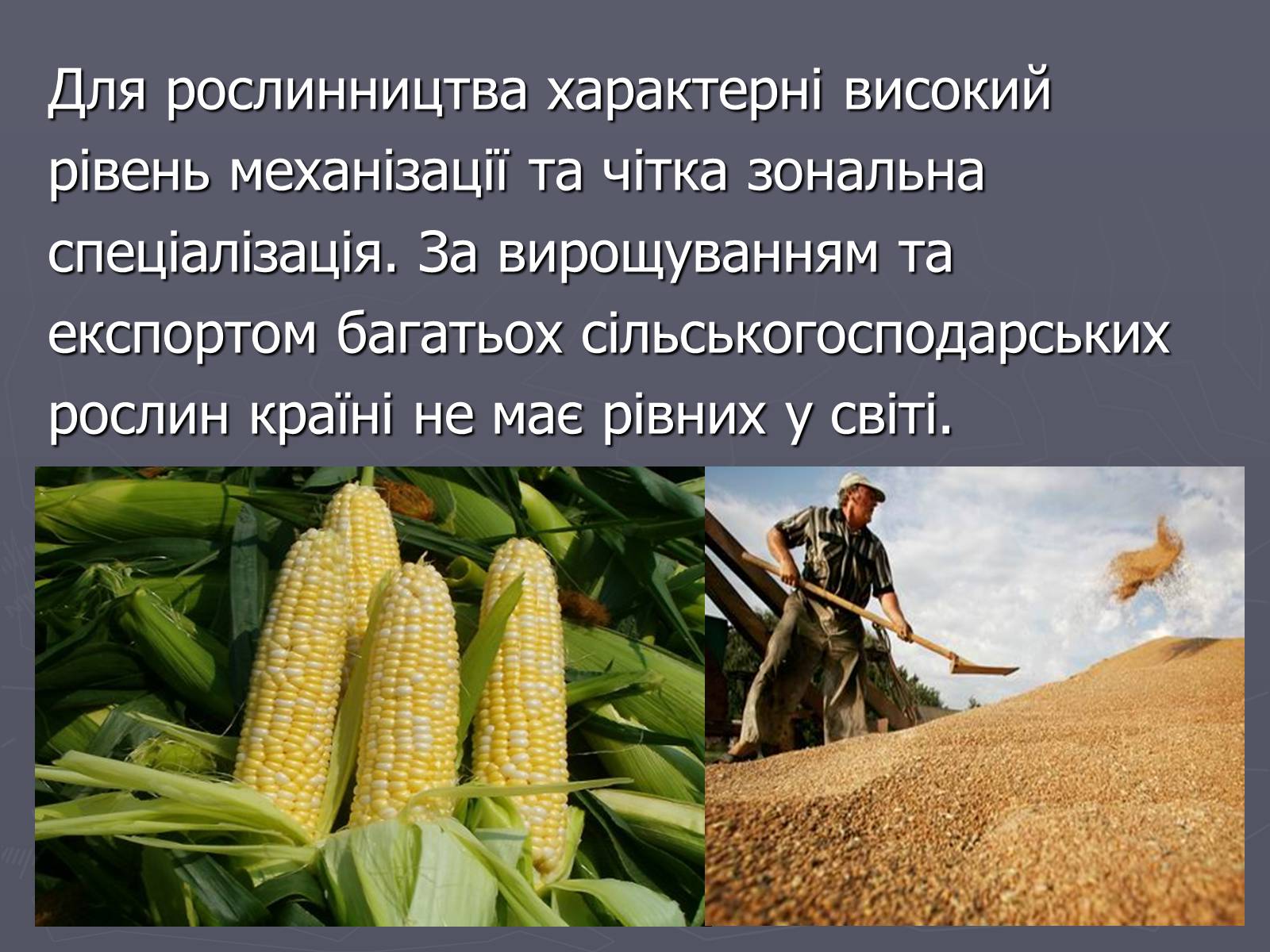 Презентація на тему «Населення та господарство США» - Слайд #21 Презентація на тему «Населення та господарство США» - Слайд #21