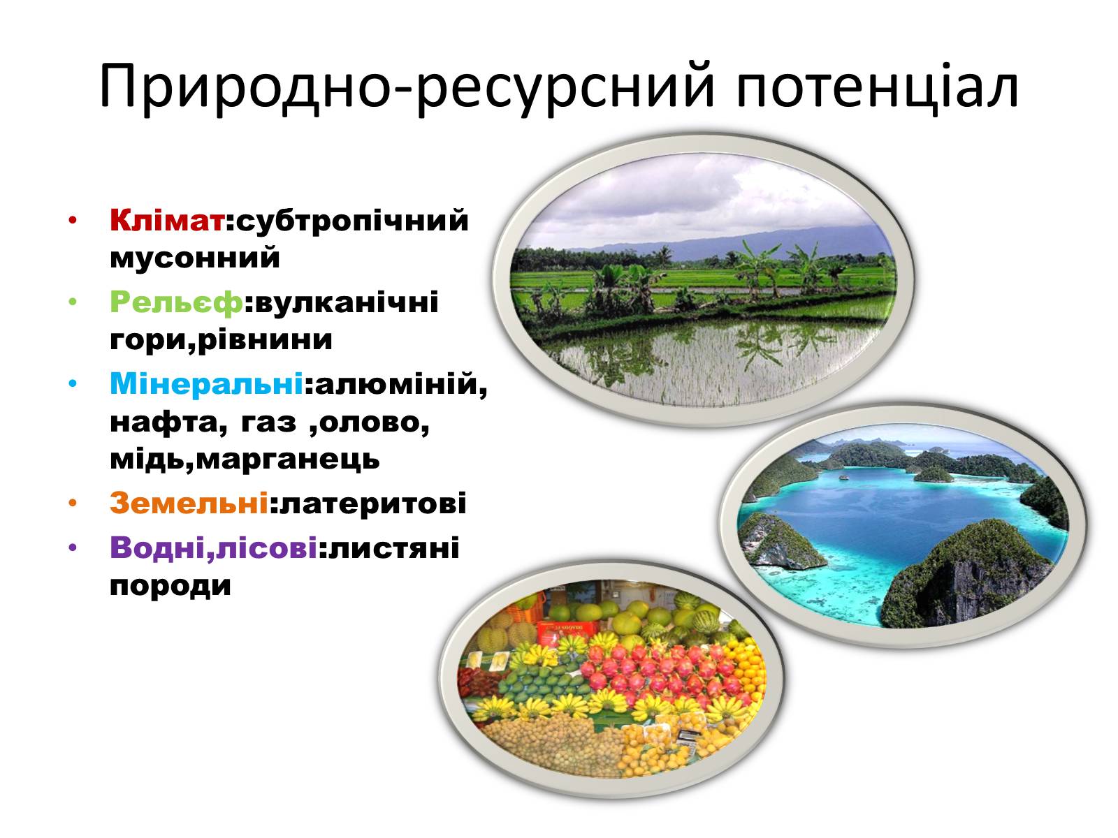 Презентація на тему «Сінгапур, Таїланд, Індонезія» - Слайд #3 Презентація на тему «Сінгапур, Таїланд, Індонезія» - Слайд #3