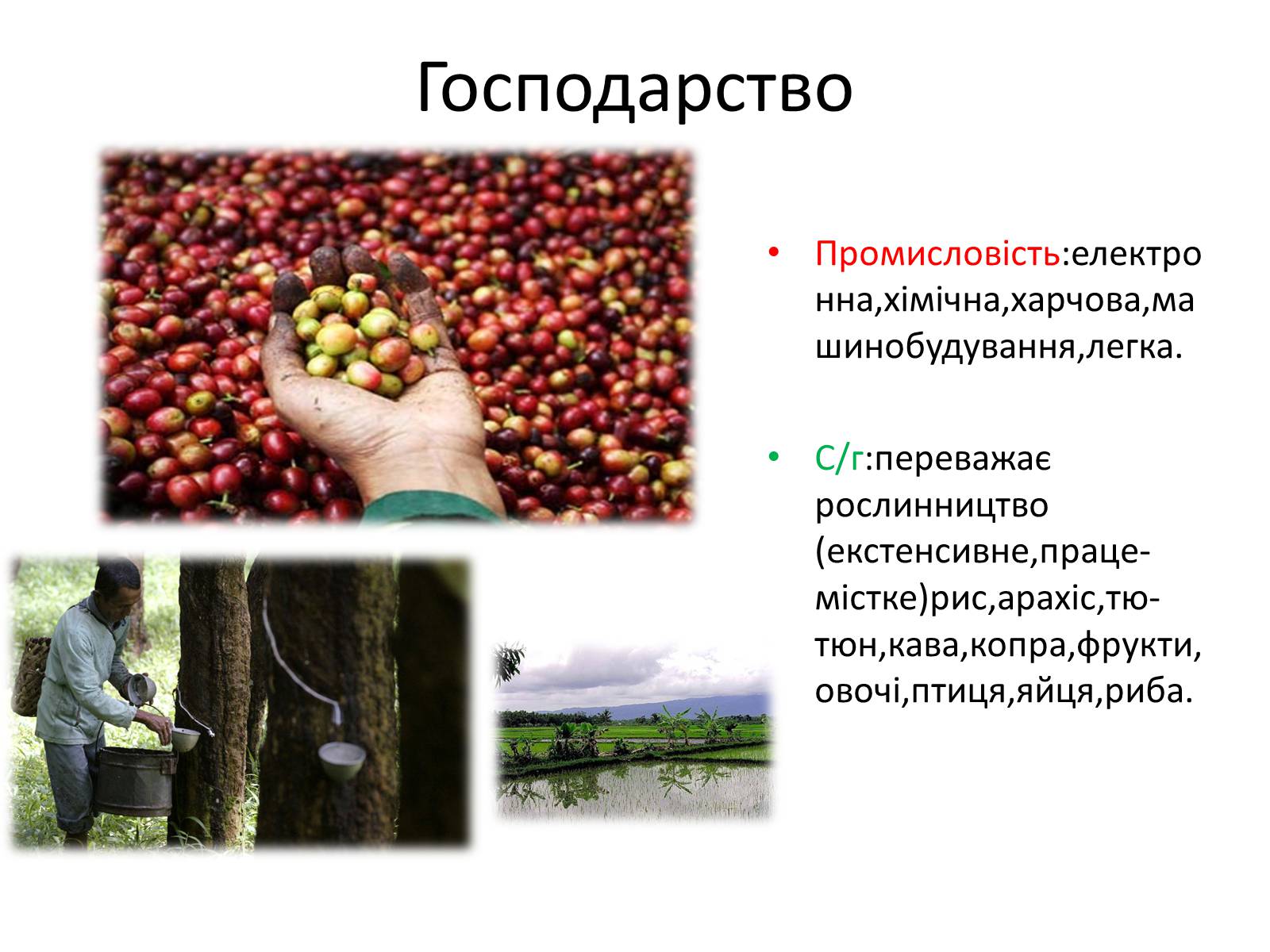 Презентація на тему «Сінгапур, Таїланд, Індонезія» - Слайд #5 Презентація на тему «Сінгапур, Таїланд, Індонезія» - Слайд #5