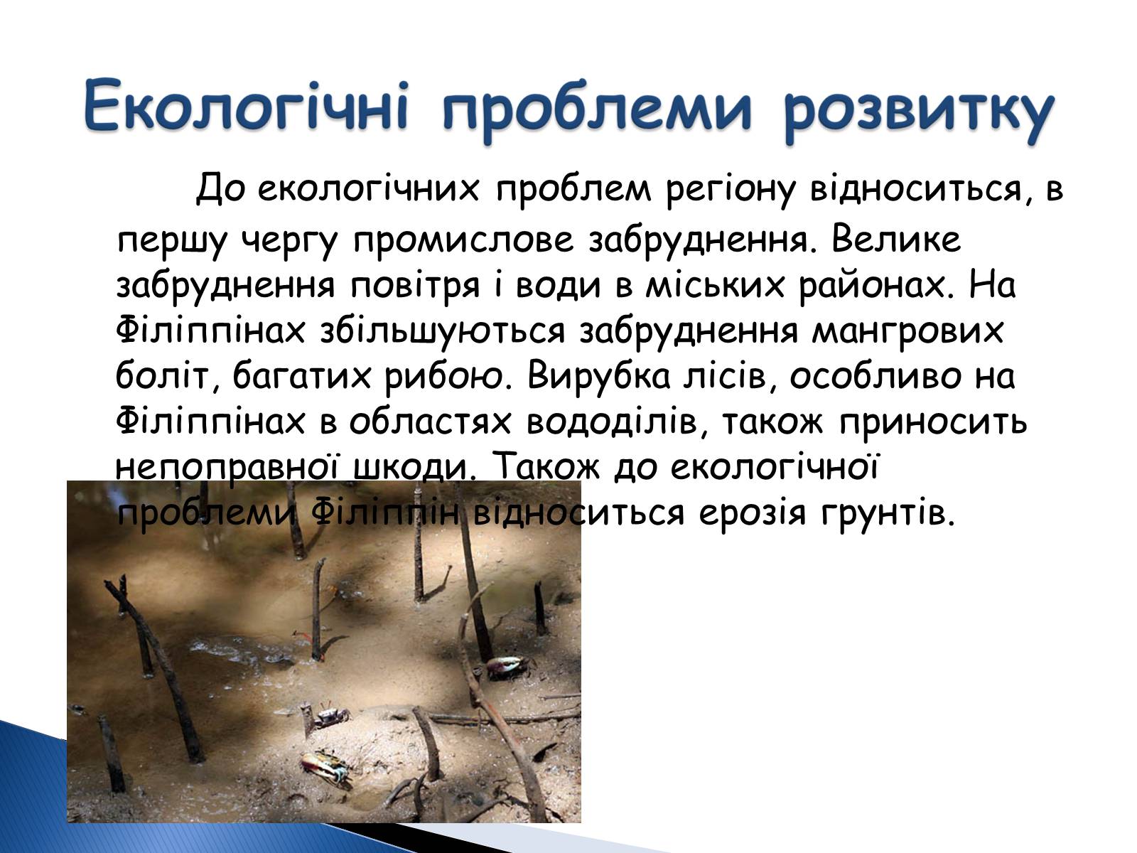 Презентація на тему «Філліпіни» - Слайд #18 Презентація на тему «Філліпіни» - Слайд #18