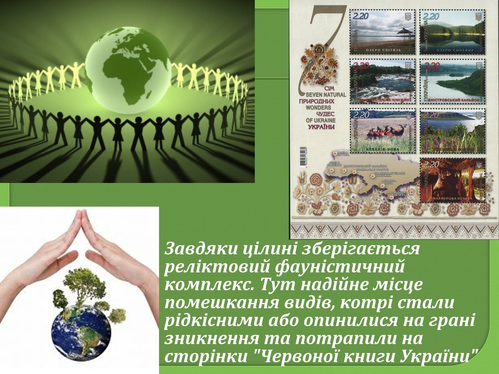 Презентація на тему «Заповідна мережа України» (варіант 1) - Слайд #13 Презентація на тему «Заповідна мережа України» (варіант 1) - Слайд #13