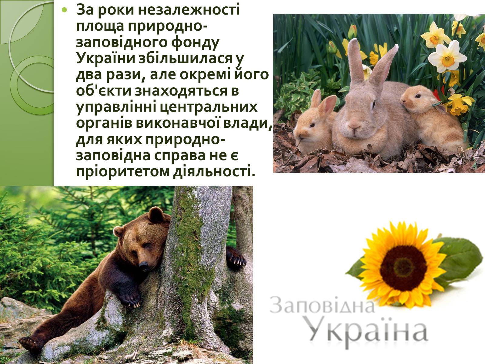Презентація на тему «Заповідна мережа України» (варіант 1) - Слайд #15 Презентація на тему «Заповідна мережа України» (варіант 1) - Слайд #15