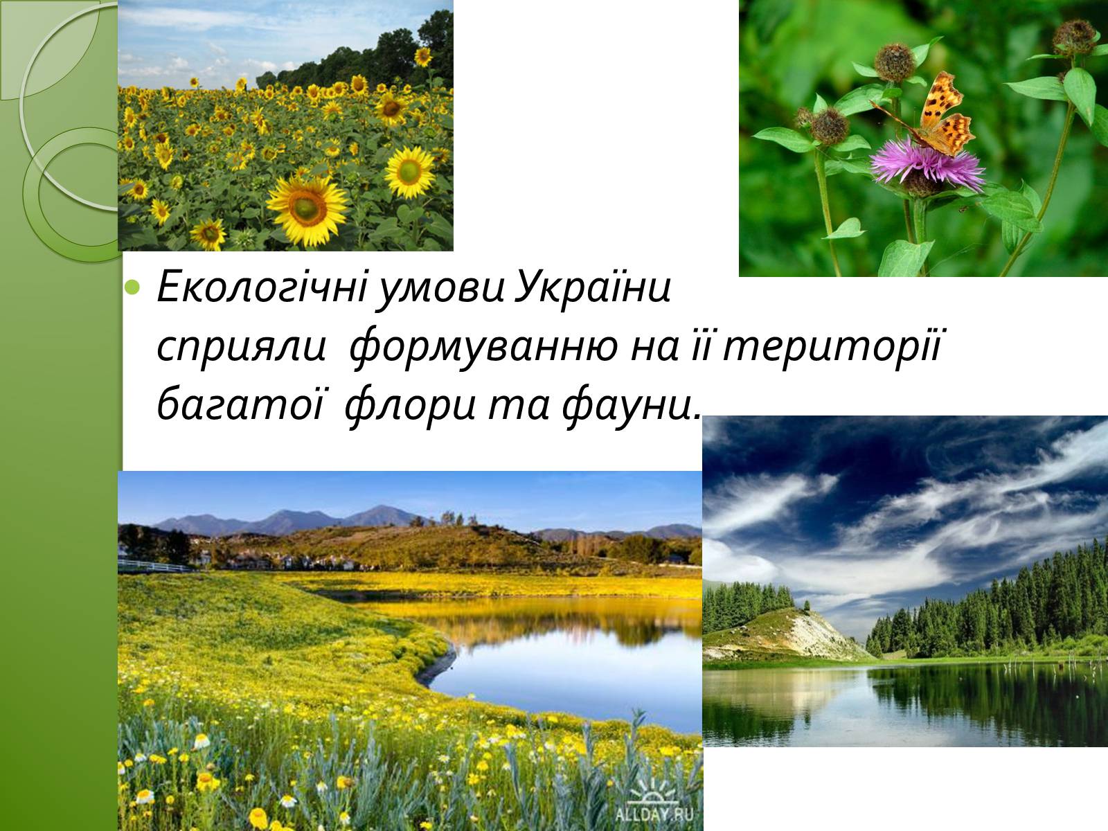 Презентація на тему «Заповідна мережа України» (варіант 1) - Слайд #3 Презентація на тему «Заповідна мережа України» (варіант 1) - Слайд #3