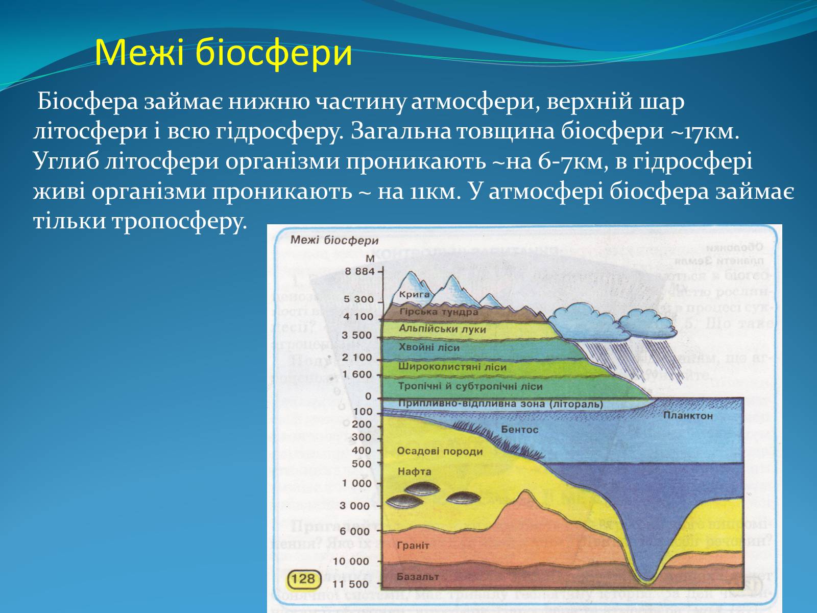 Презентація на тему «Поняття про біосферу» (варіант 2) - Слайд #8 Презентація на тему «Поняття про біосферу» (варіант 2) - Слайд #8