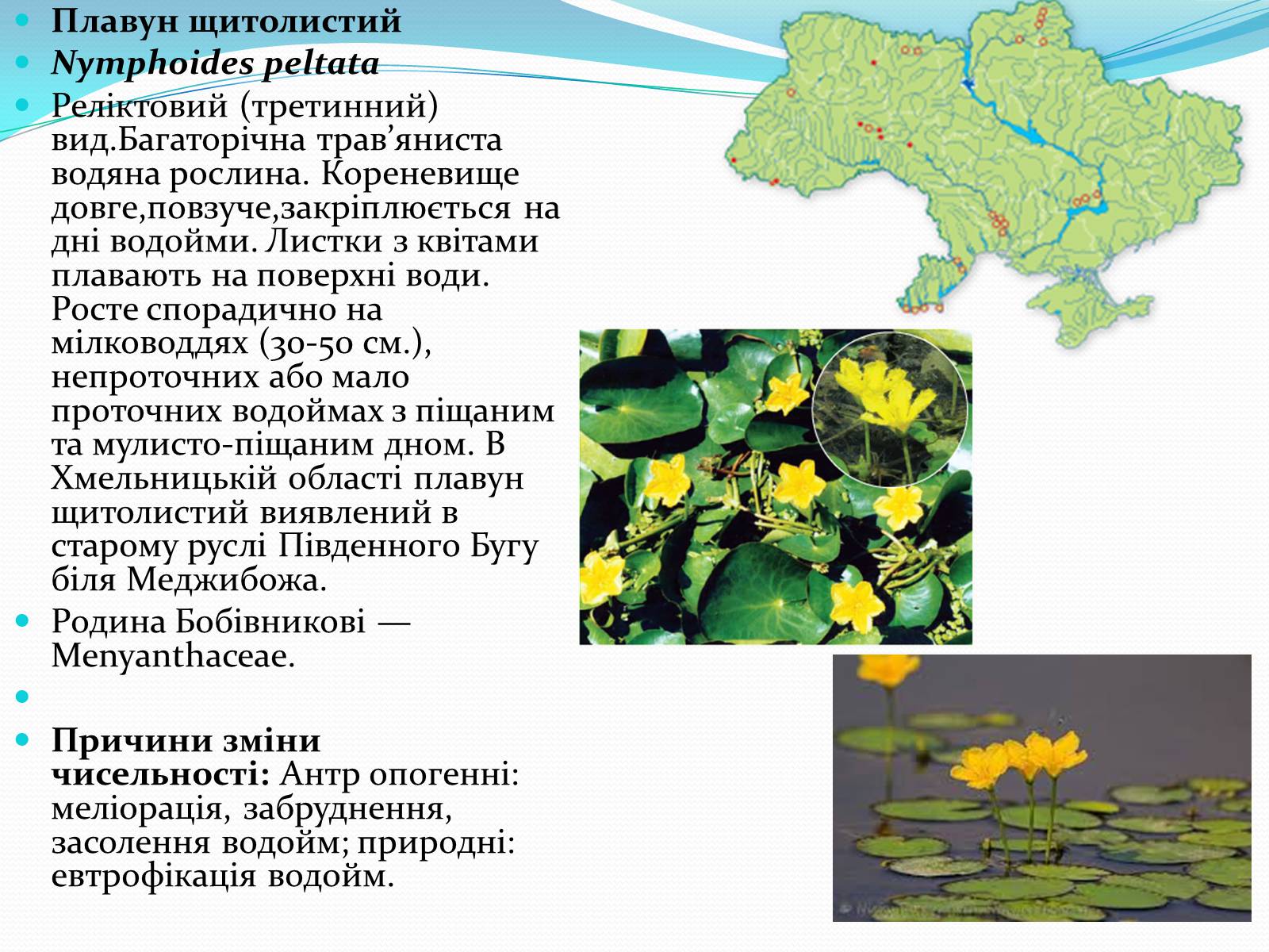 Презентація на тему «Червона книга» (варіант 3) - Слайд #7 Презентація на тему «Червона книга» (варіант 3) - Слайд #7