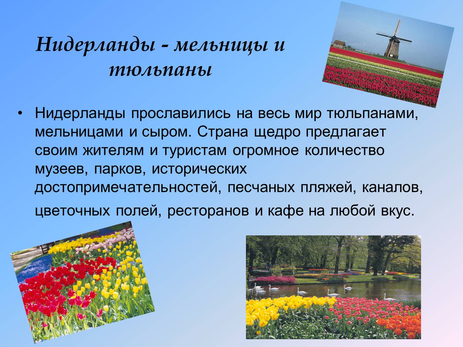 Презентація на тему «Бенилюкс» - Слайд #4 Презентація на тему «Бенилюкс» - Слайд #4