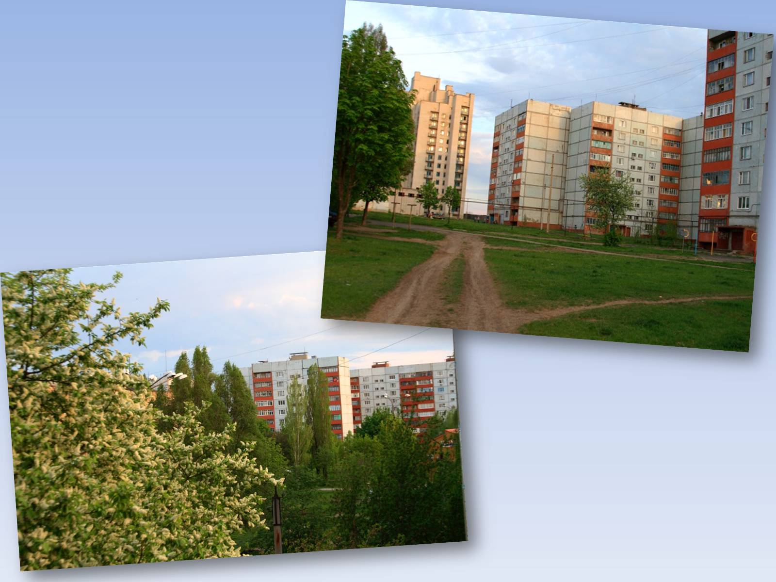 Презентація на тему «Социальный паспорт города Светлодарска» - Слайд #12 Презентація на тему «Социальный паспорт города Светлодарска» - Слайд #12