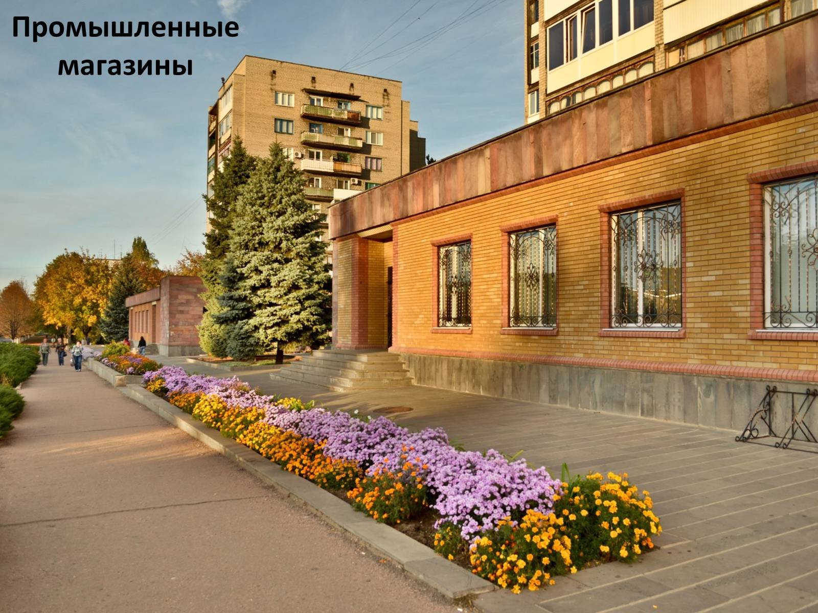 Презентація на тему «Социальный паспорт города Светлодарска» - Слайд #14 Презентація на тему «Социальный паспорт города Светлодарска» - Слайд #14