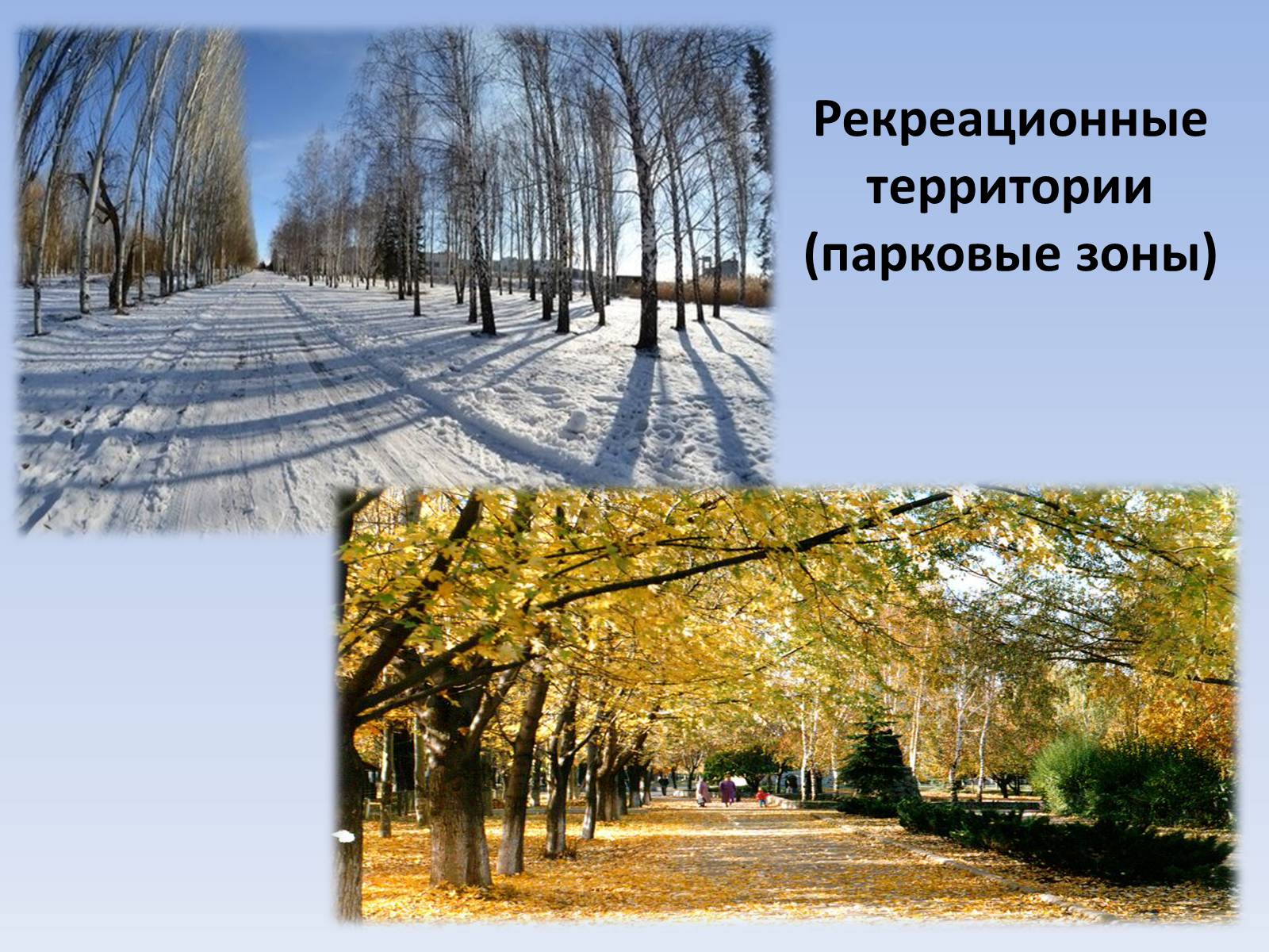 Презентація на тему «Социальный паспорт города Светлодарска» - Слайд #35 Презентація на тему «Социальный паспорт города Светлодарска» - Слайд #35