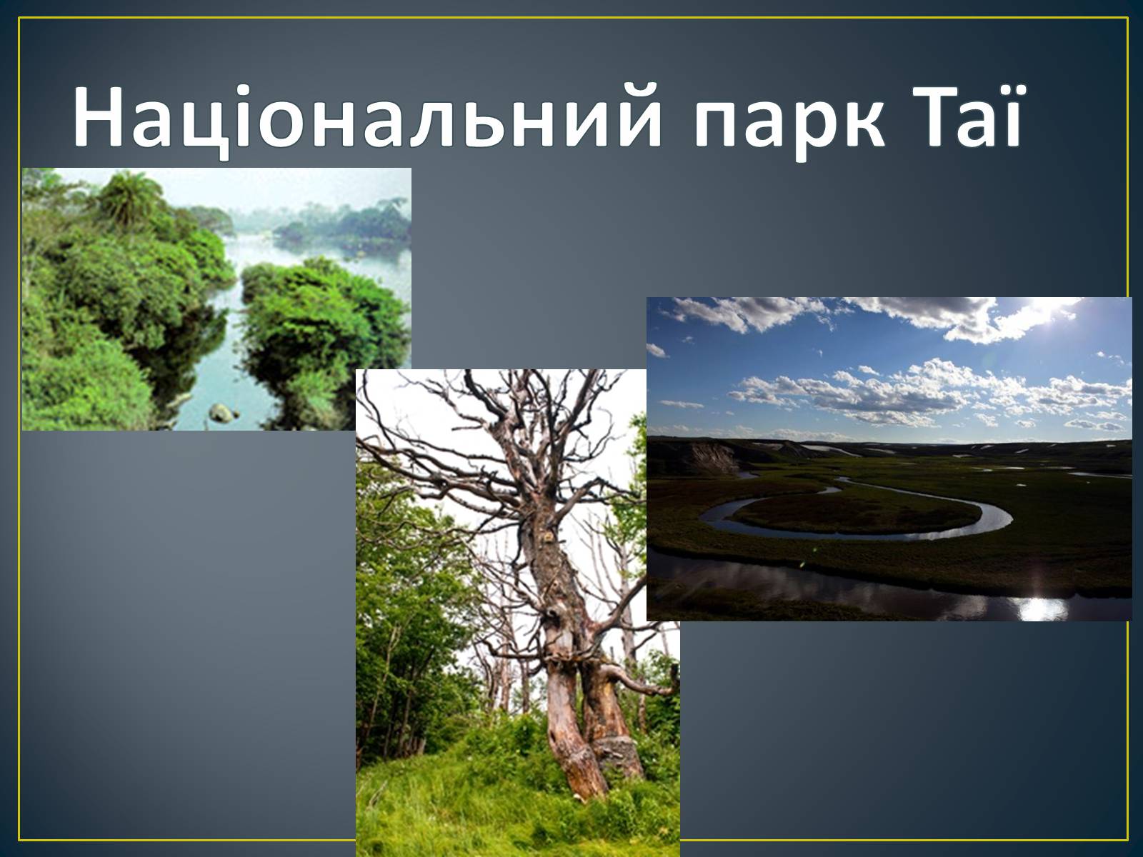 Презентація на тему «Кот-Д’Івуар» - Слайд #15 Презентація на тему «Кот-Д’Івуар» - Слайд #15