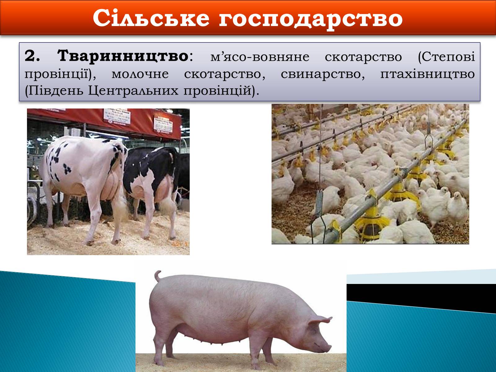 Презентація на тему «Канада» (варіант 6) - Слайд #23 Презентація на тему «Канада» (варіант 6) - Слайд #23