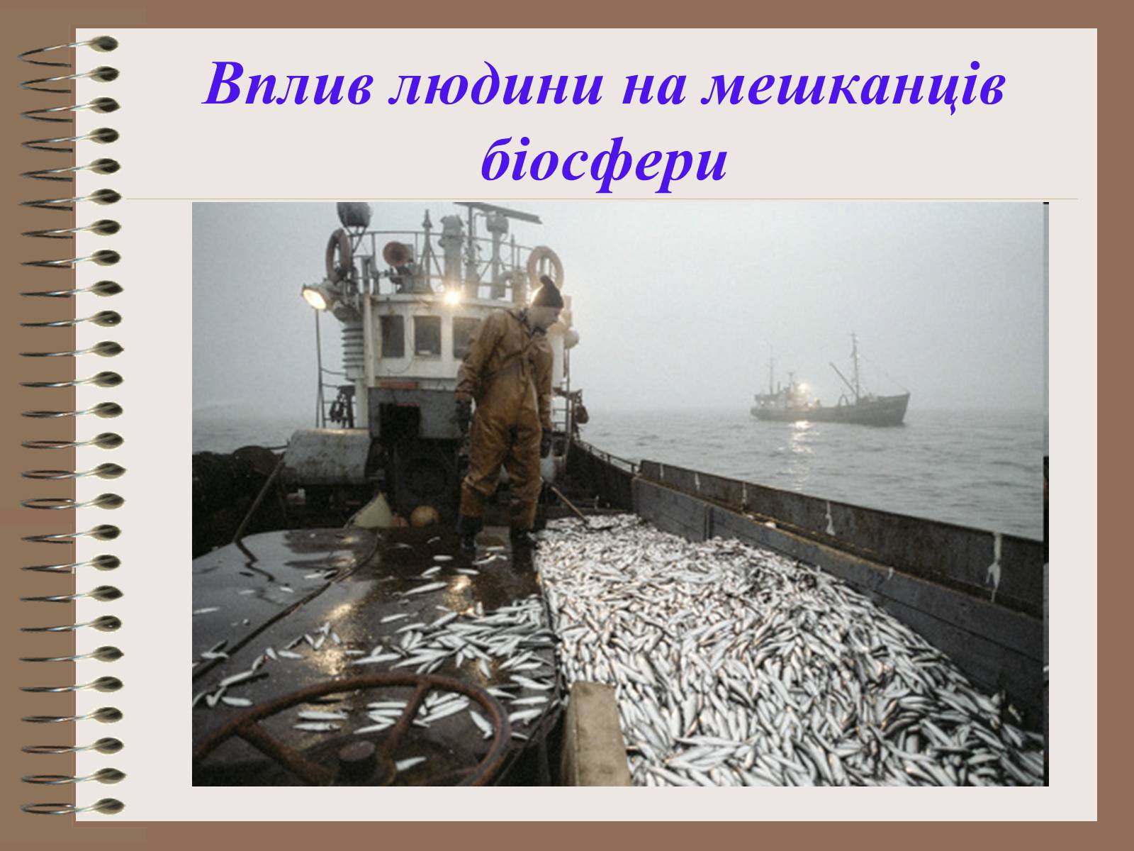 Презентація на тему «Людина і біосфера. Охорона біосфери» (варіант 1) - Слайд #21 Презентація на тему «Людина і біосфера. Охорона біосфери» (варіант 1) - Слайд #21