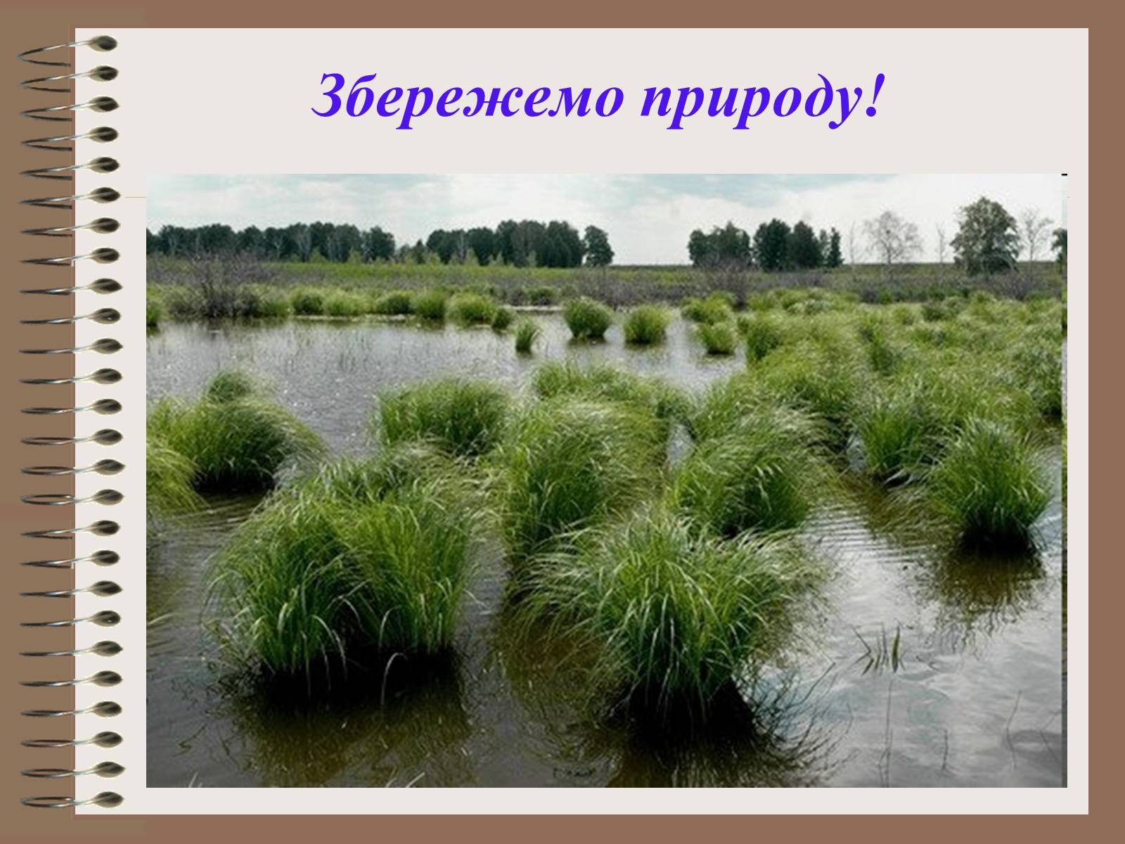 Презентація на тему «Людина і біосфера. Охорона біосфери» (варіант 1) - Слайд #24 Презентація на тему «Людина і біосфера. Охорона біосфери» (варіант 1) - Слайд #24