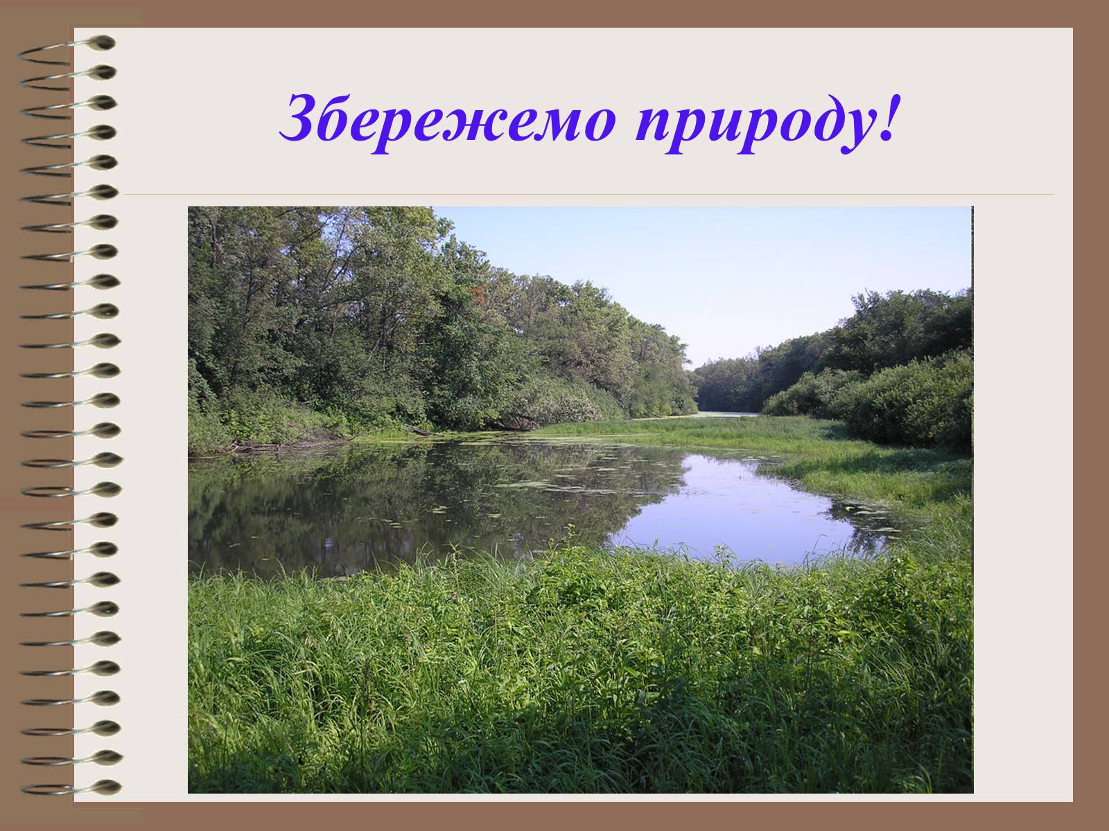 Презентація на тему «Людина і біосфера. Охорона біосфери» (варіант 1) - Слайд #26 Презентація на тему «Людина і біосфера. Охорона біосфери» (варіант 1) - Слайд #26
