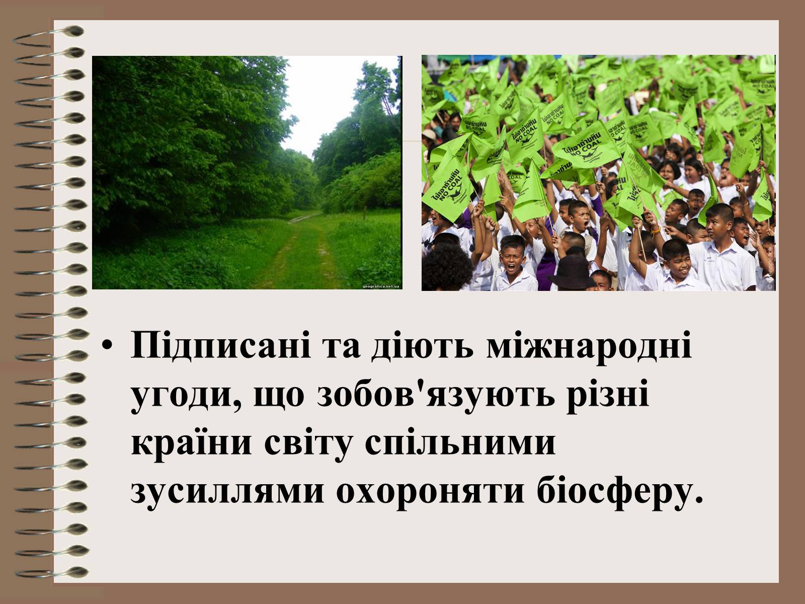Презентація на тему «Людина і біосфера. Охорона біосфери» (варіант 1) - Слайд #5 Презентація на тему «Людина і біосфера. Охорона біосфери» (варіант 1) - Слайд #5