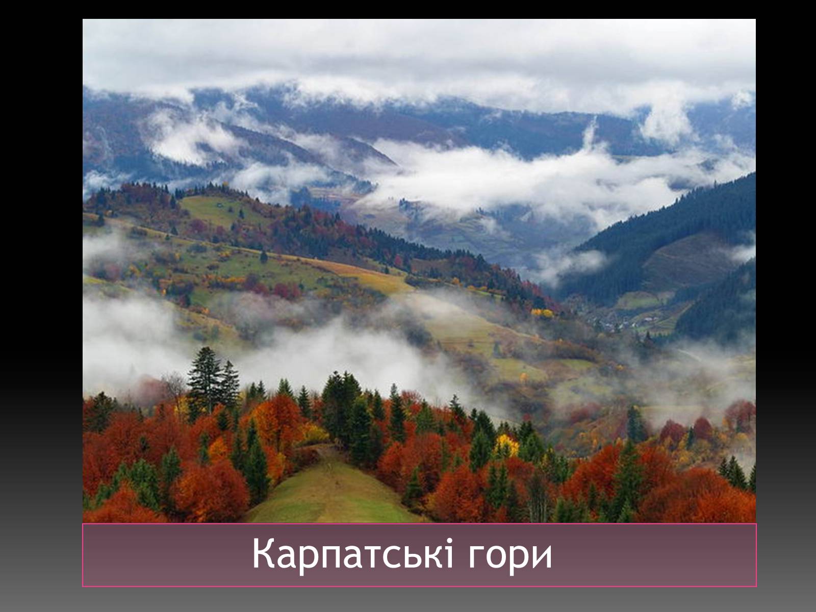 Презентація на тему «Карпатський район» - Слайд #5 Презентація на тему «Карпатський район» - Слайд #5