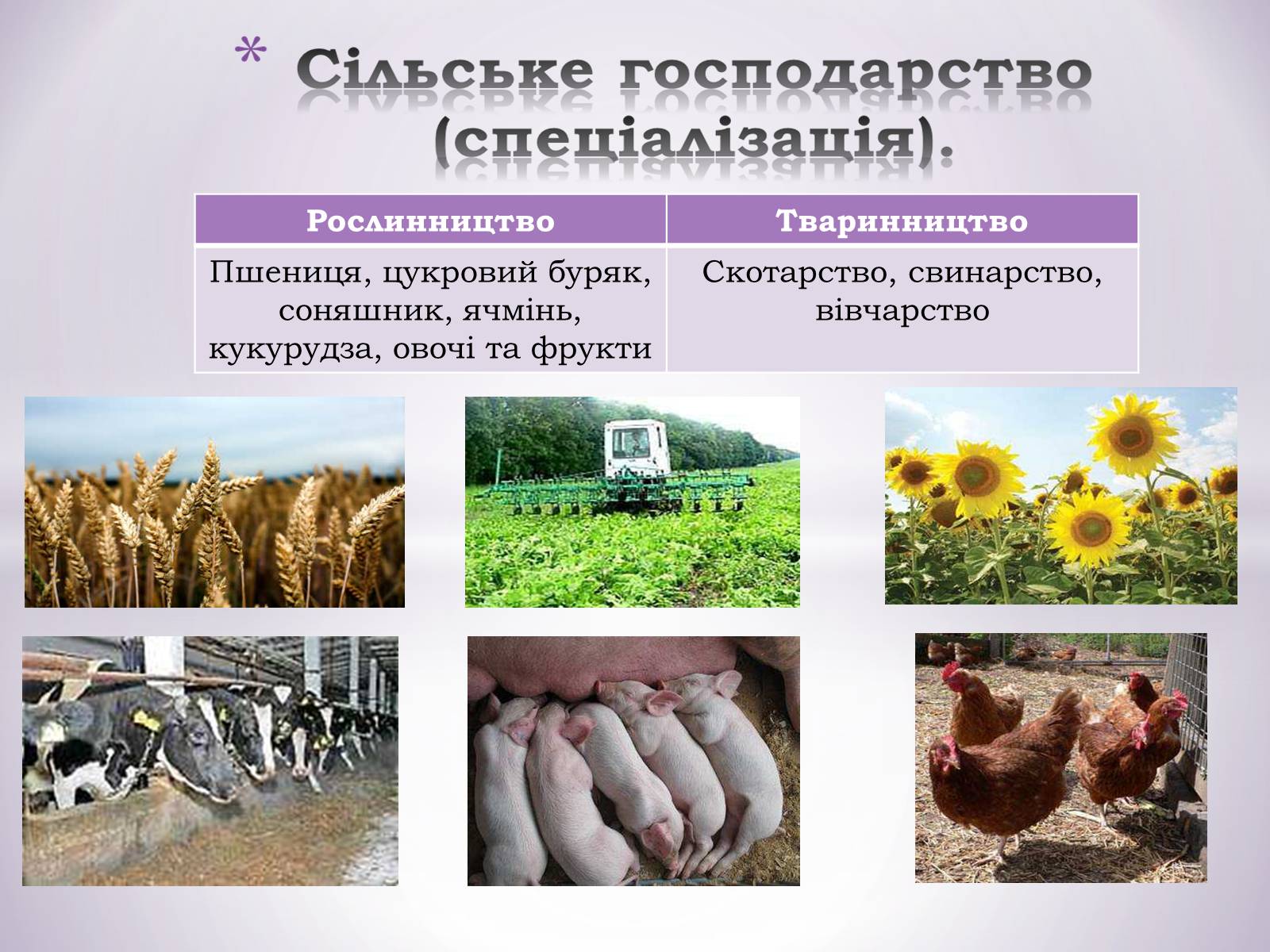 Презентація на тему «Центральний економічний район» (варіант 1) - Слайд #12 Презентація на тему «Центральний економічний район» (варіант 1) - Слайд #12