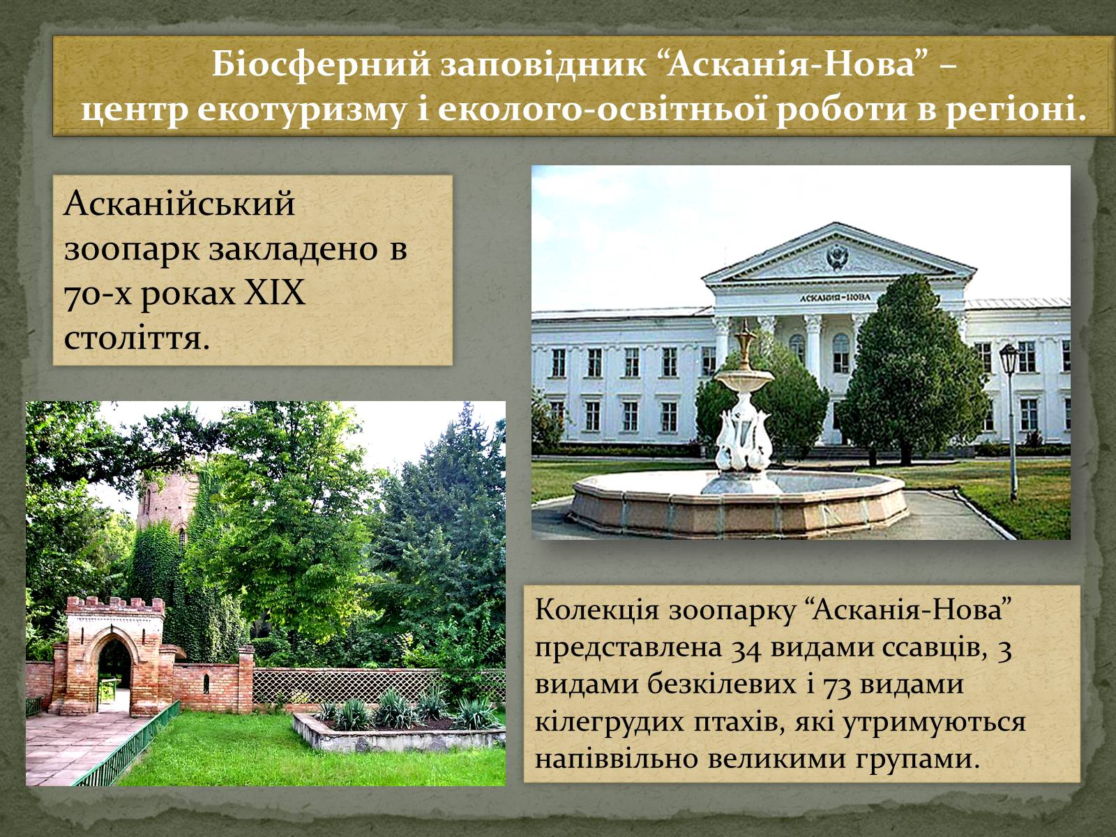 Презентація на тему «Асканія Нова» (варіант 4) - Слайд #13 Презентація на тему «Асканія Нова» (варіант 4) - Слайд #13