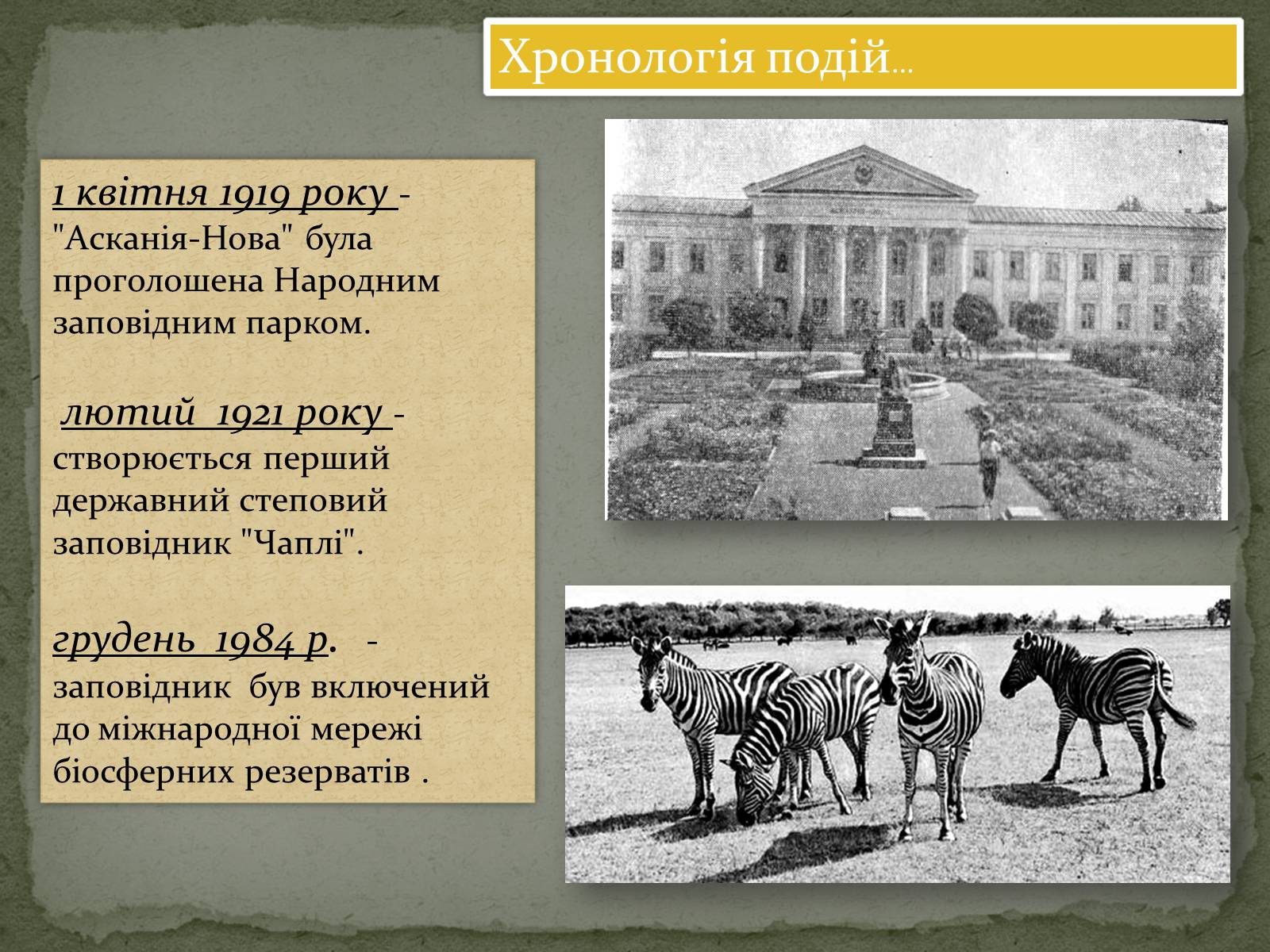 Презентація на тему «Асканія Нова» (варіант 4) - Слайд #3 Презентація на тему «Асканія Нова» (варіант 4) - Слайд #3