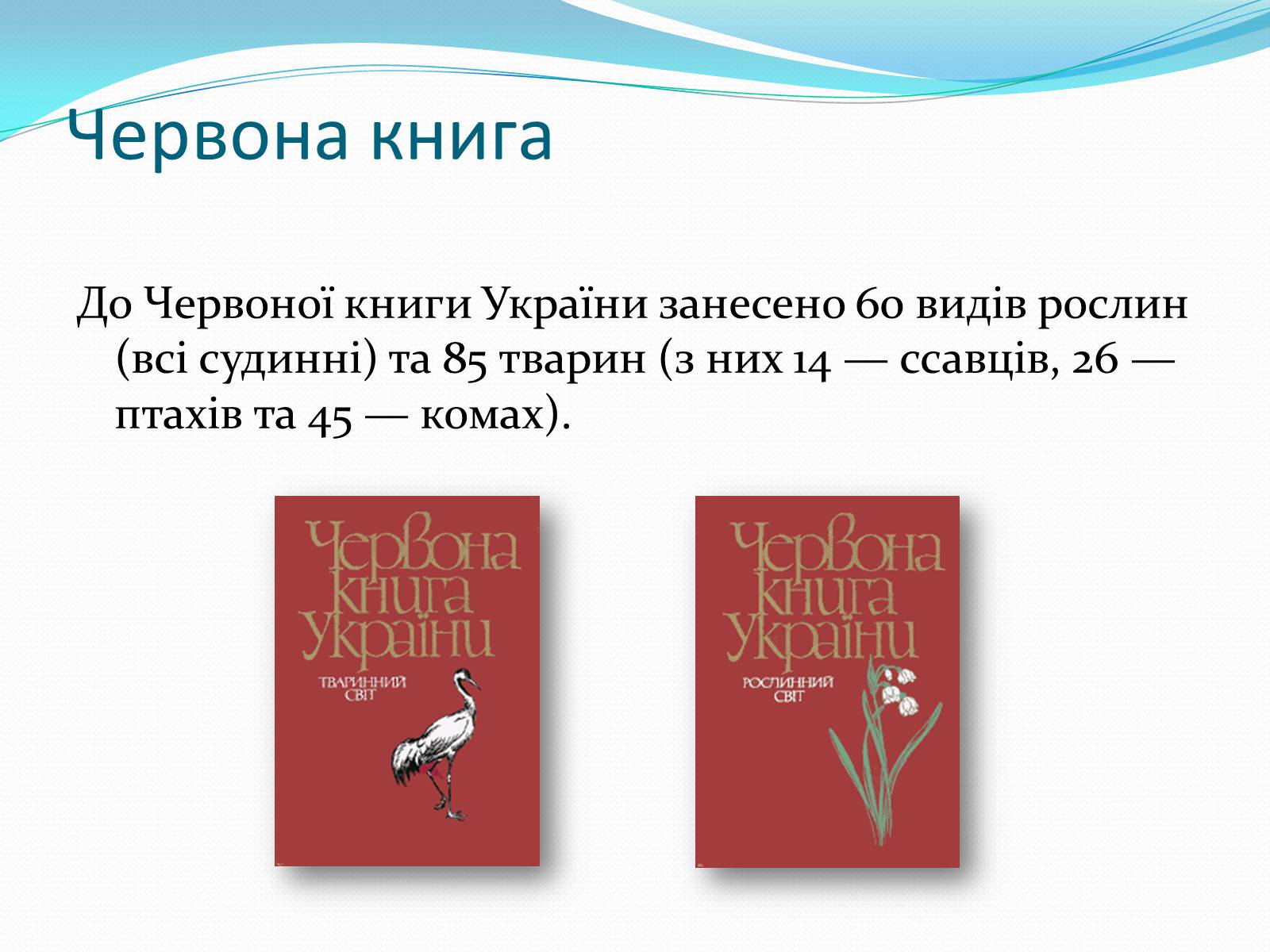 Презентація на тему «Національний природний парк Подільські Товтри» (варіант 2) - Слайд #5 Презентація на тему «Національний природний парк Подільські Товтри» (варіант 2) - Слайд #5