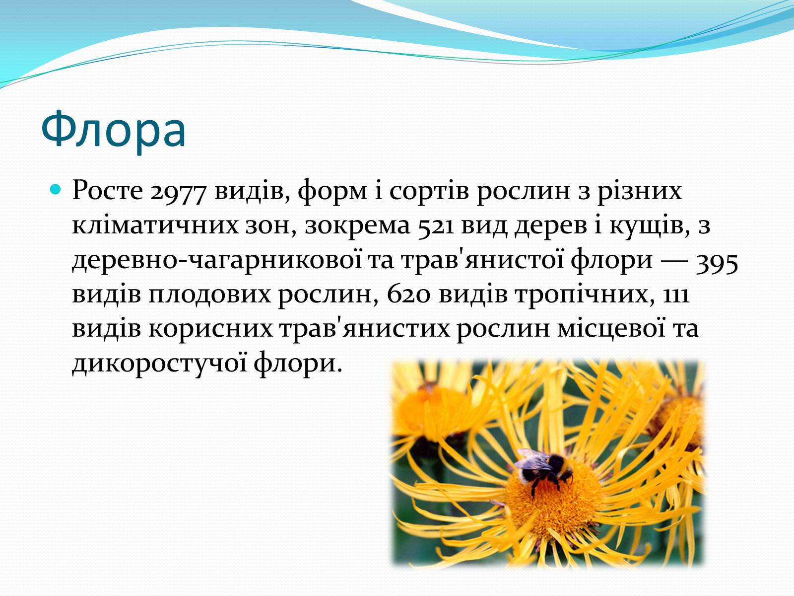 Презентація на тему «Національний природний парк Подільські Товтри» (варіант 2) - Слайд #6 Презентація на тему «Національний природний парк Подільські Товтри» (варіант 2) - Слайд #6