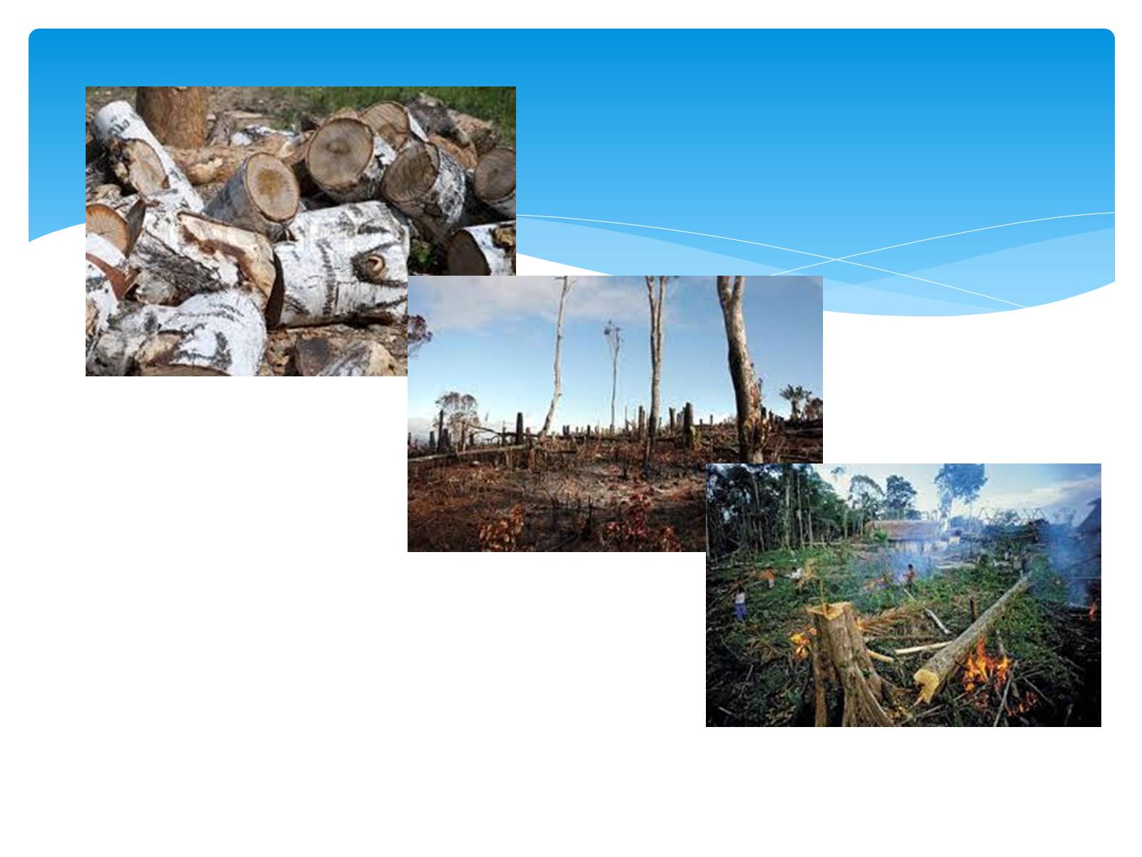 Презентація на тему «Environmental problems» (варіант 3) - Слайд #11 Презентація на тему «Environmental problems» (варіант 3) - Слайд #11