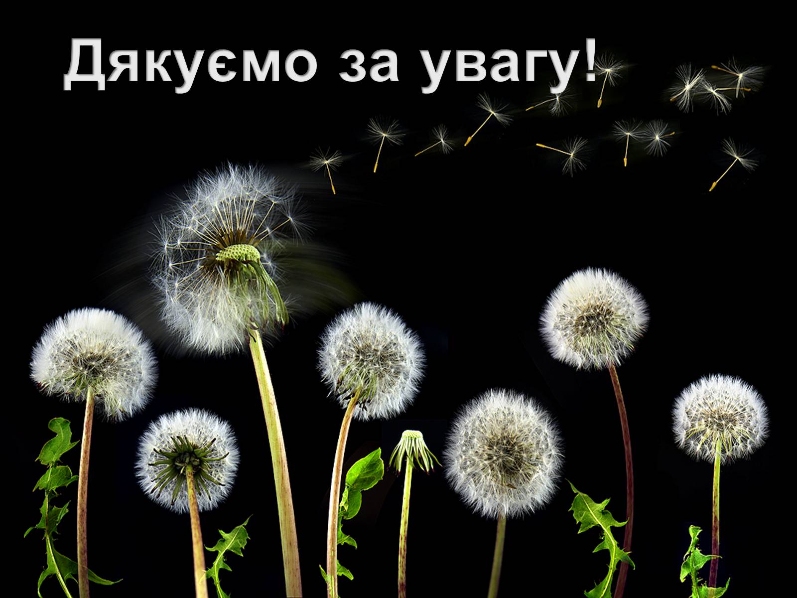 Презентація на тему «Подільський економічний район» (варіант 2) - Слайд #15 Презентація на тему «Подільський економічний район» (варіант 2) - Слайд #15