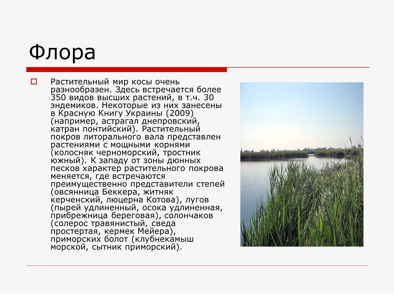 Презентація на тему «Путешествие по Запорожскому краю» - Слайд #5 Презентація на тему «Путешествие по Запорожскому краю» - Слайд #5