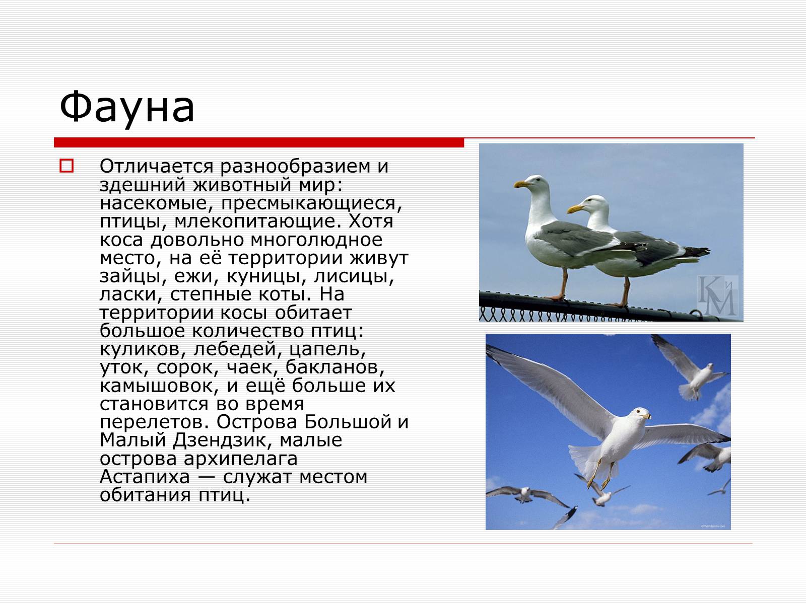 Презентація на тему «Путешествие по Запорожскому краю» - Слайд #6 Презентація на тему «Путешествие по Запорожскому краю» - Слайд #6