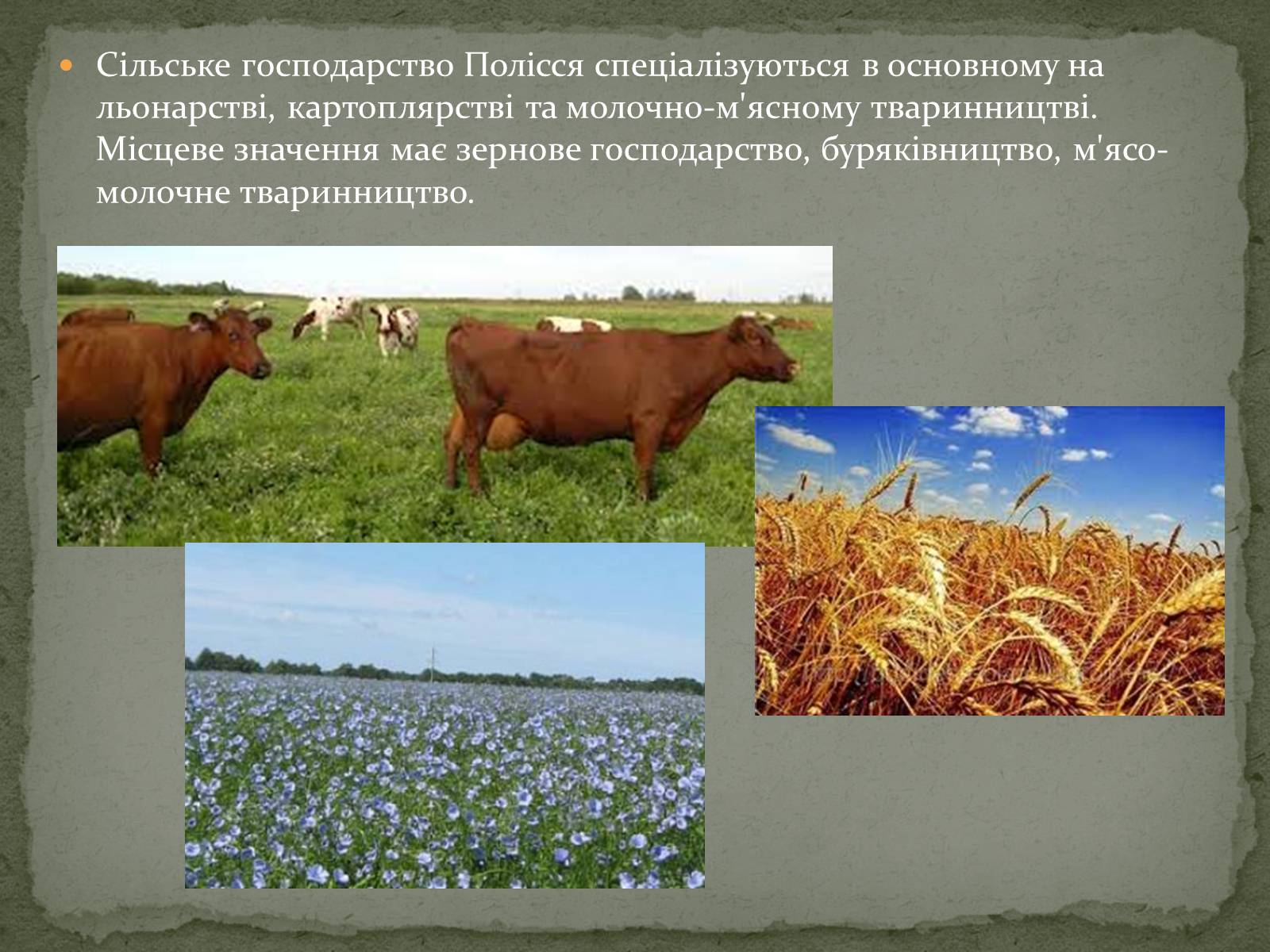 Презентація на тему «Північно-західний економічний район» - Слайд #16 Презентація на тему «Північно-західний економічний район» - Слайд #16